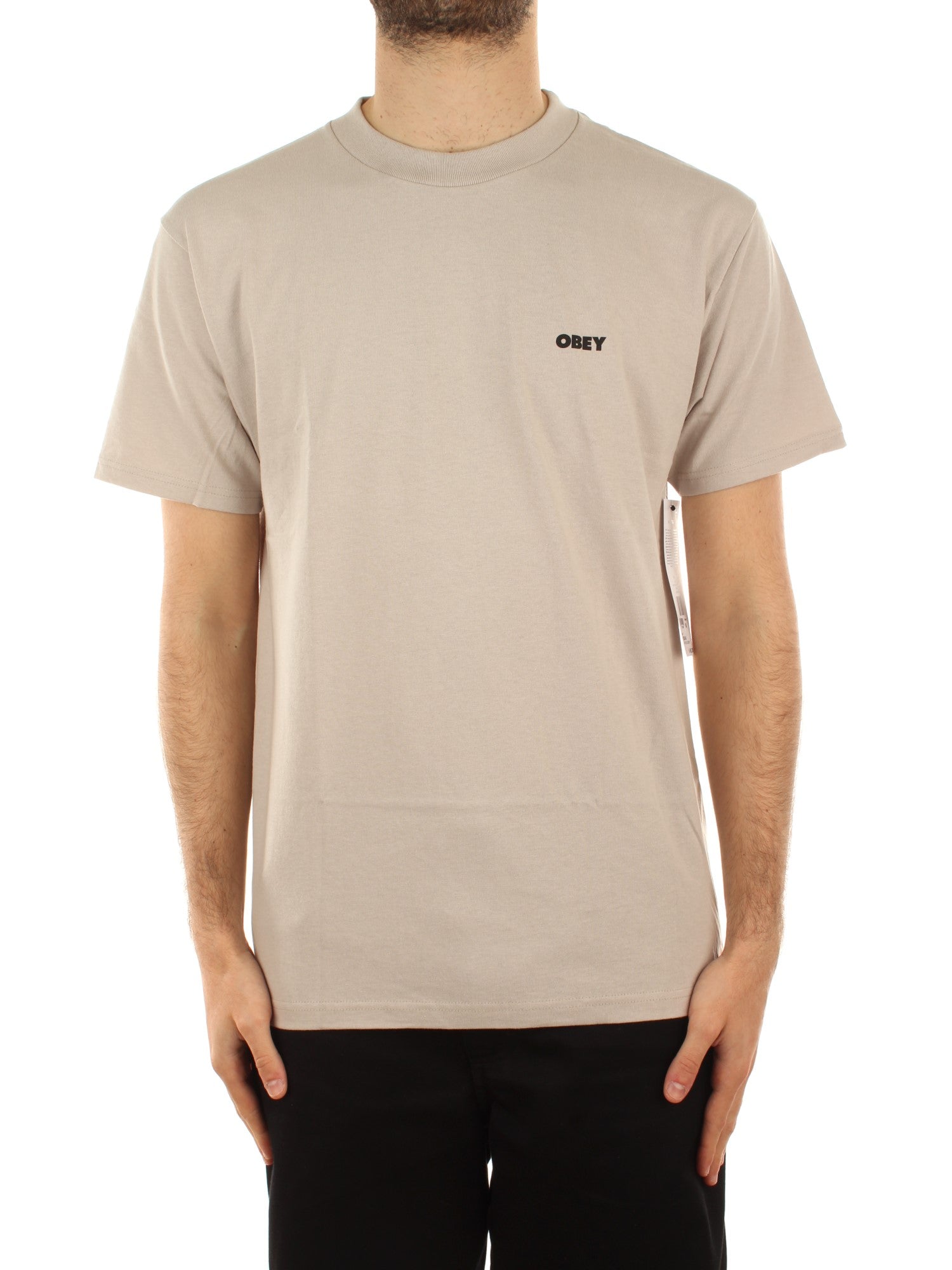 Obey Obey Alternate Reality Tee Grigio