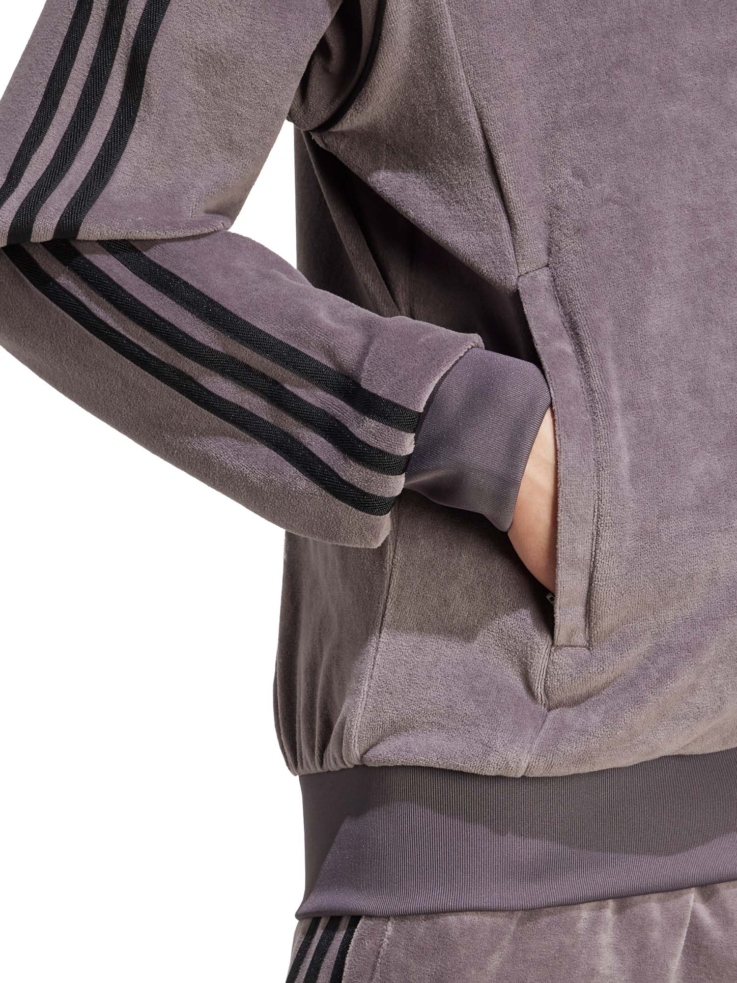 Adidas Giacca da allenamento SST Adicolor in velour Grigio