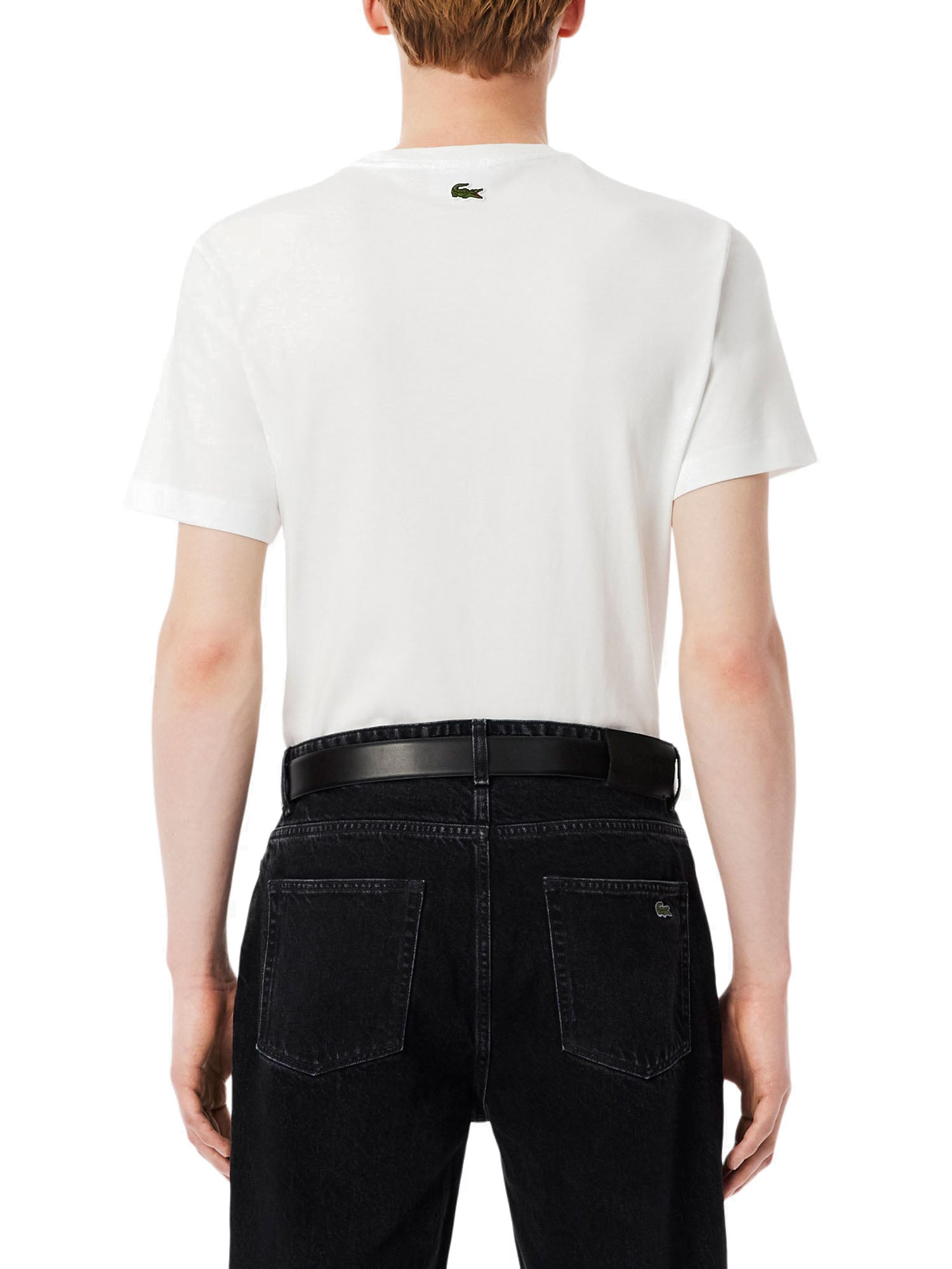 Lacoste T-shirt Cotone Uomo Bianco