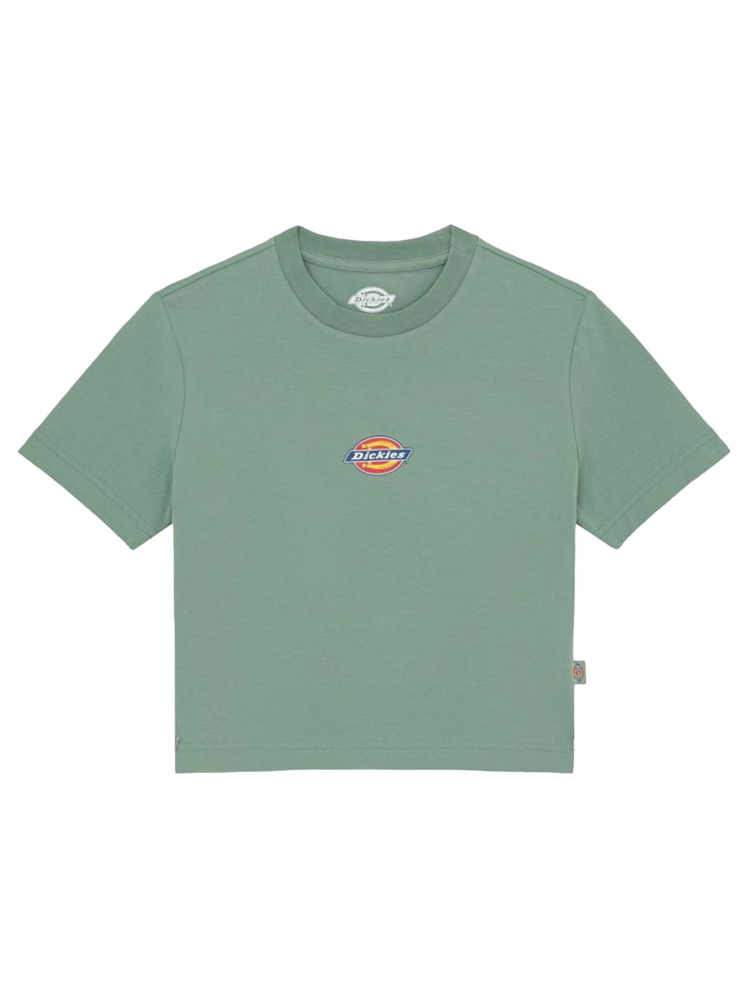 Dickies T-shirt di peso medio Maple Valley Verde