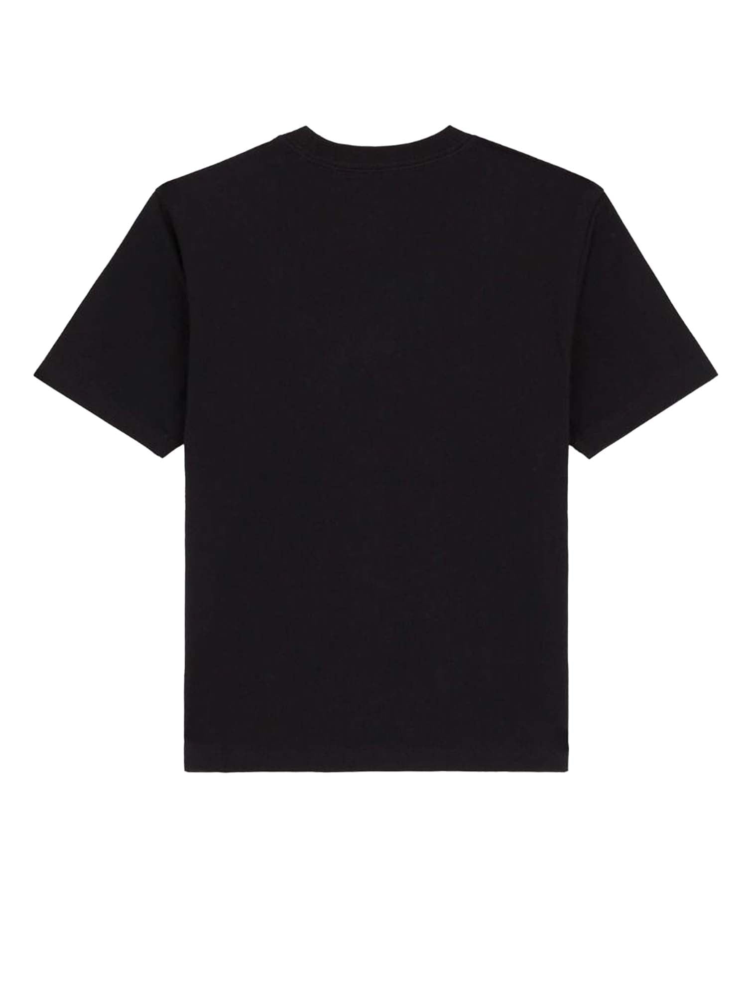 Dickies T-shirt leggera Maple Valley regular Nero