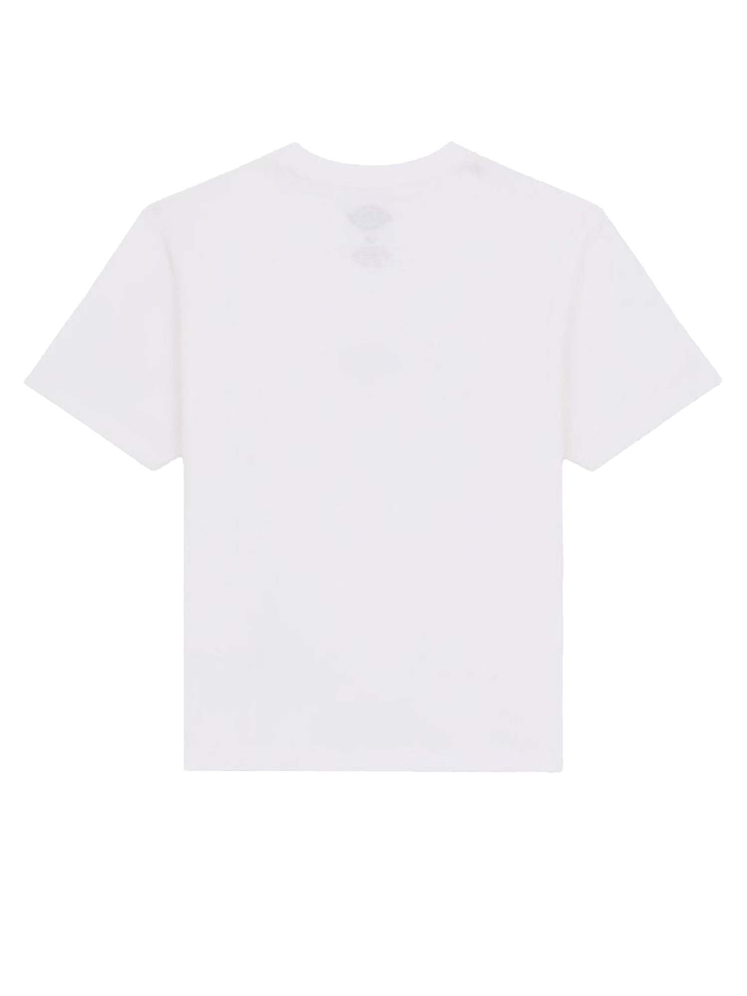 Dickies T-shirt leggera Maple Valley regular Bianco