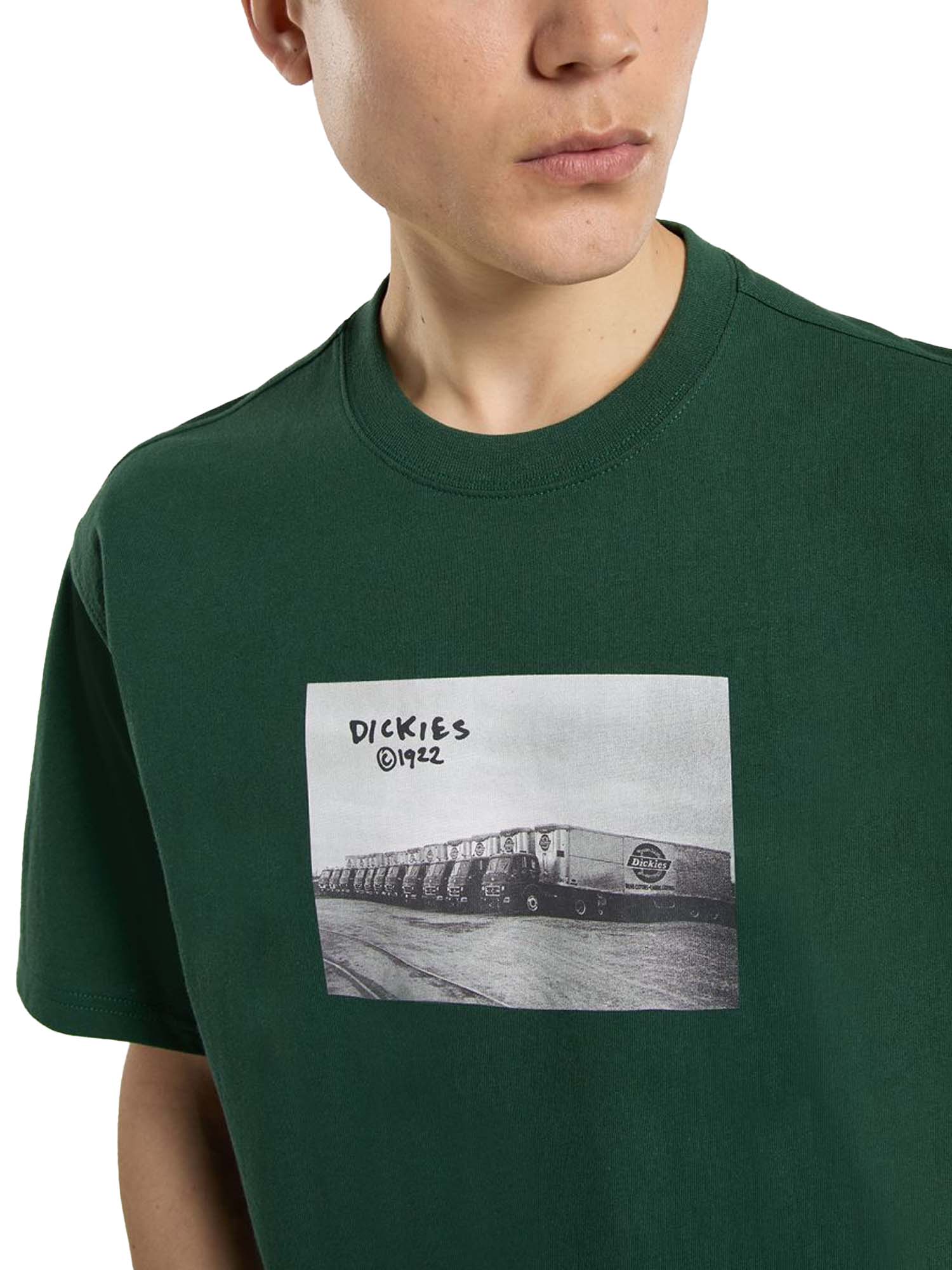 Dickies T-shirt di peso medio Sevier Verde