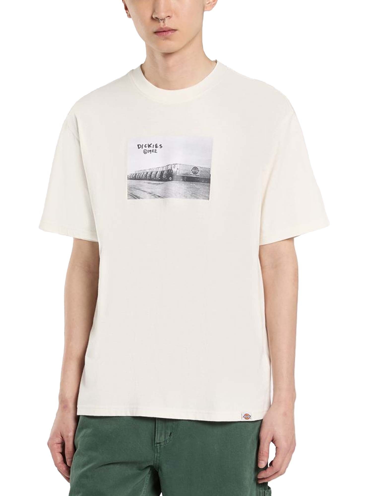 Dickies T-shirt di peso medio Sevier Bianco