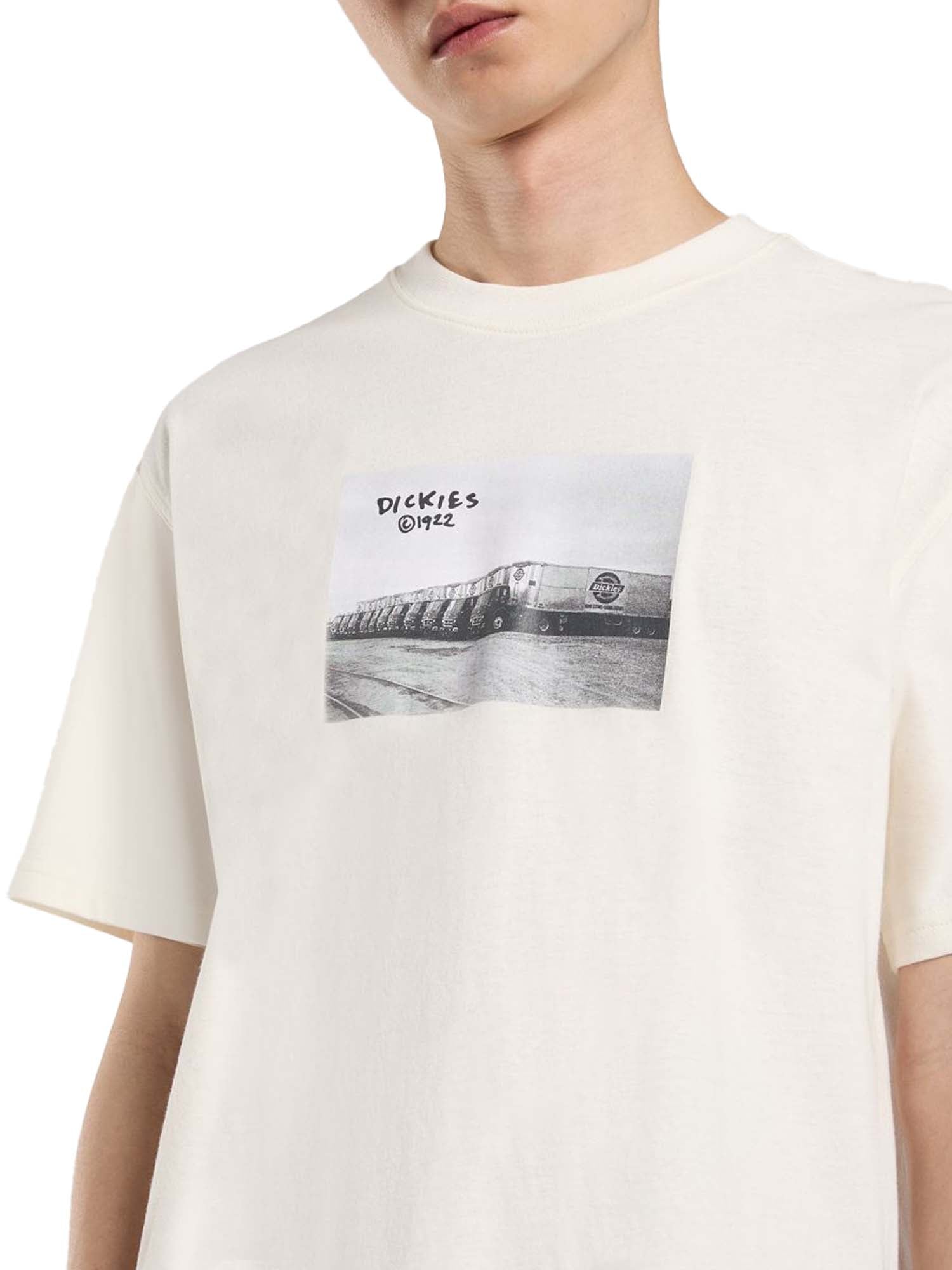 Dickies T-shirt di peso medio Sevier Bianco