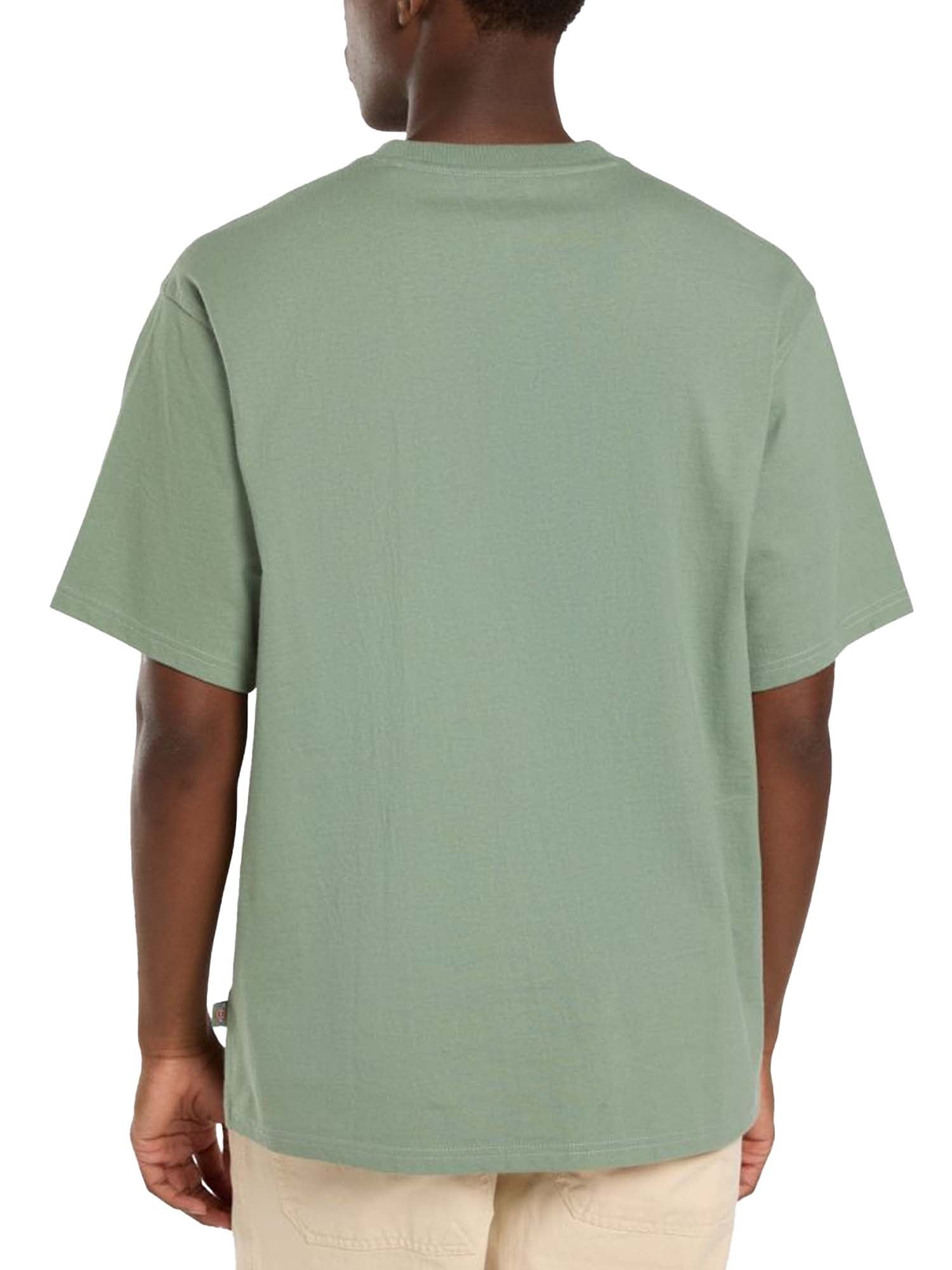 Dickies T-Shirt di peso medio Clancy Verde