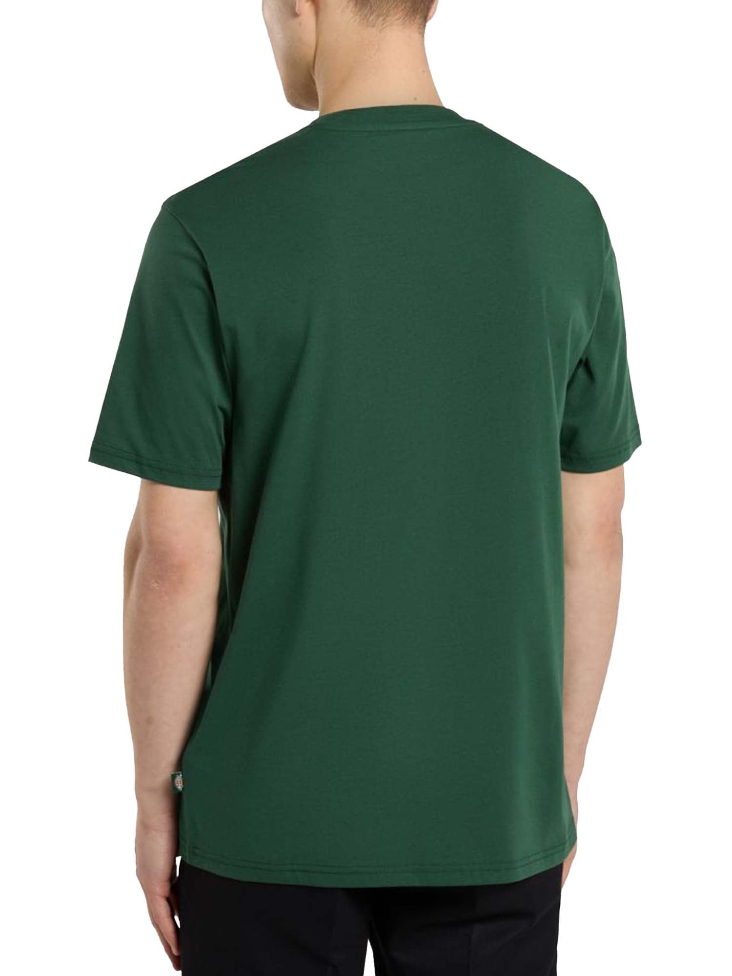 Dickies T-shirt leggera Mapleton Verde