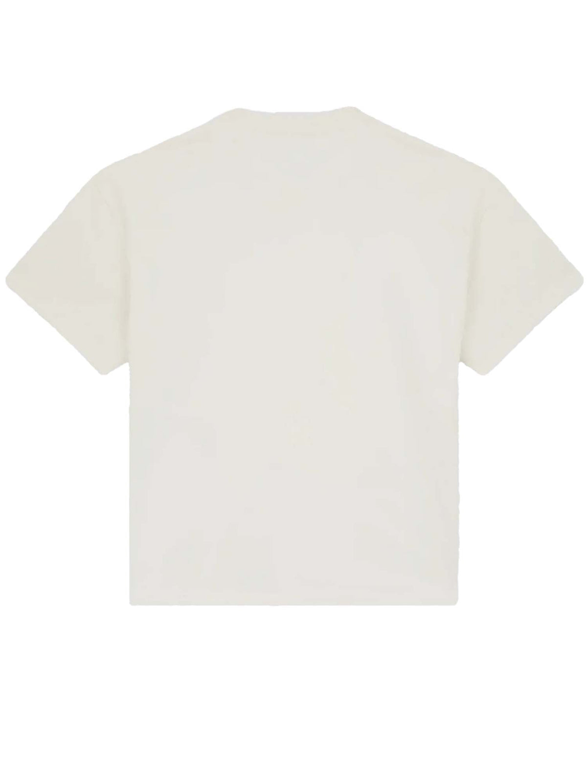 Dickies T-shirt pesante Mineral Bianco