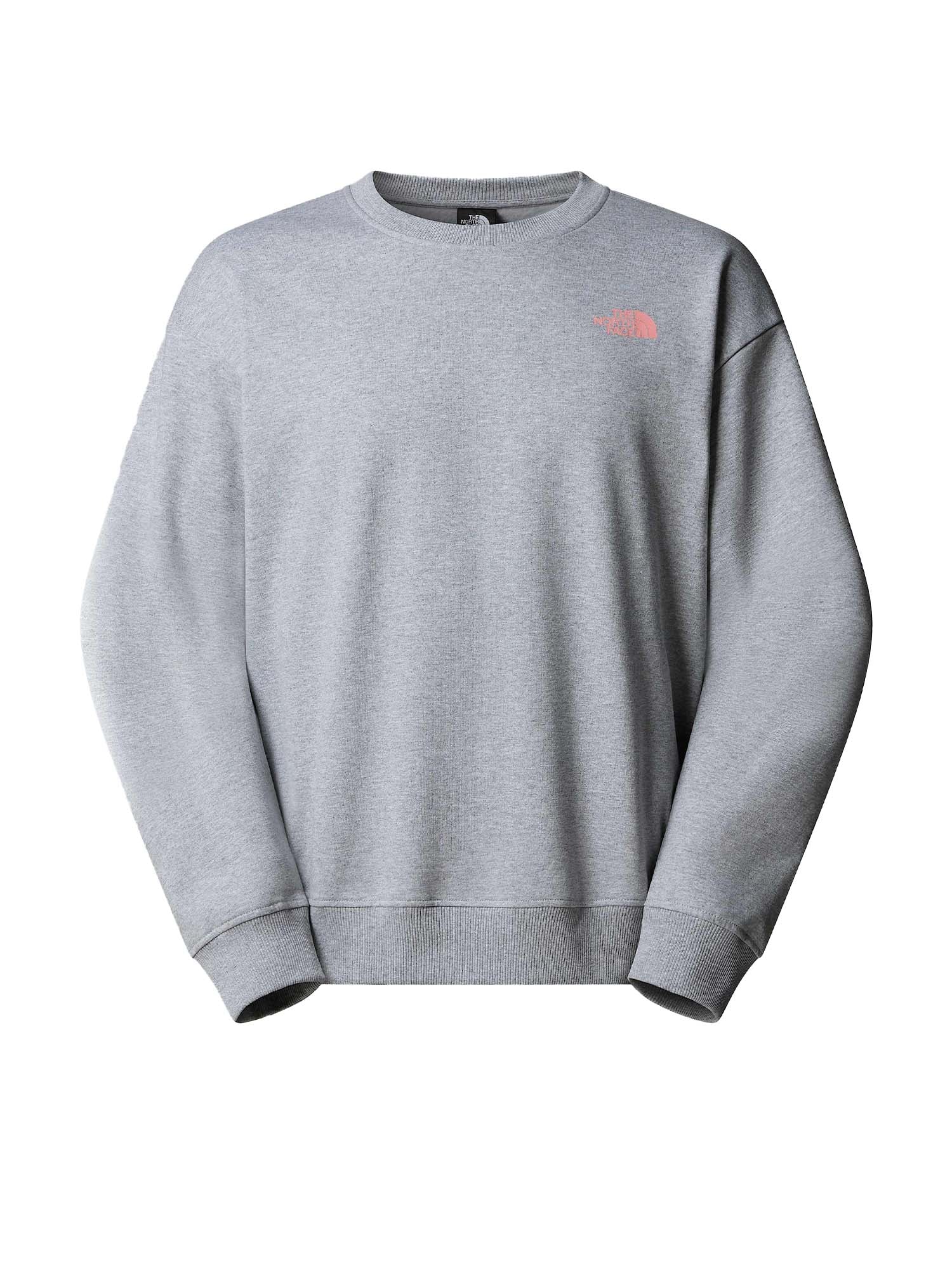 The North Face Felpa oversize Expedition Celebration unisex Grigio