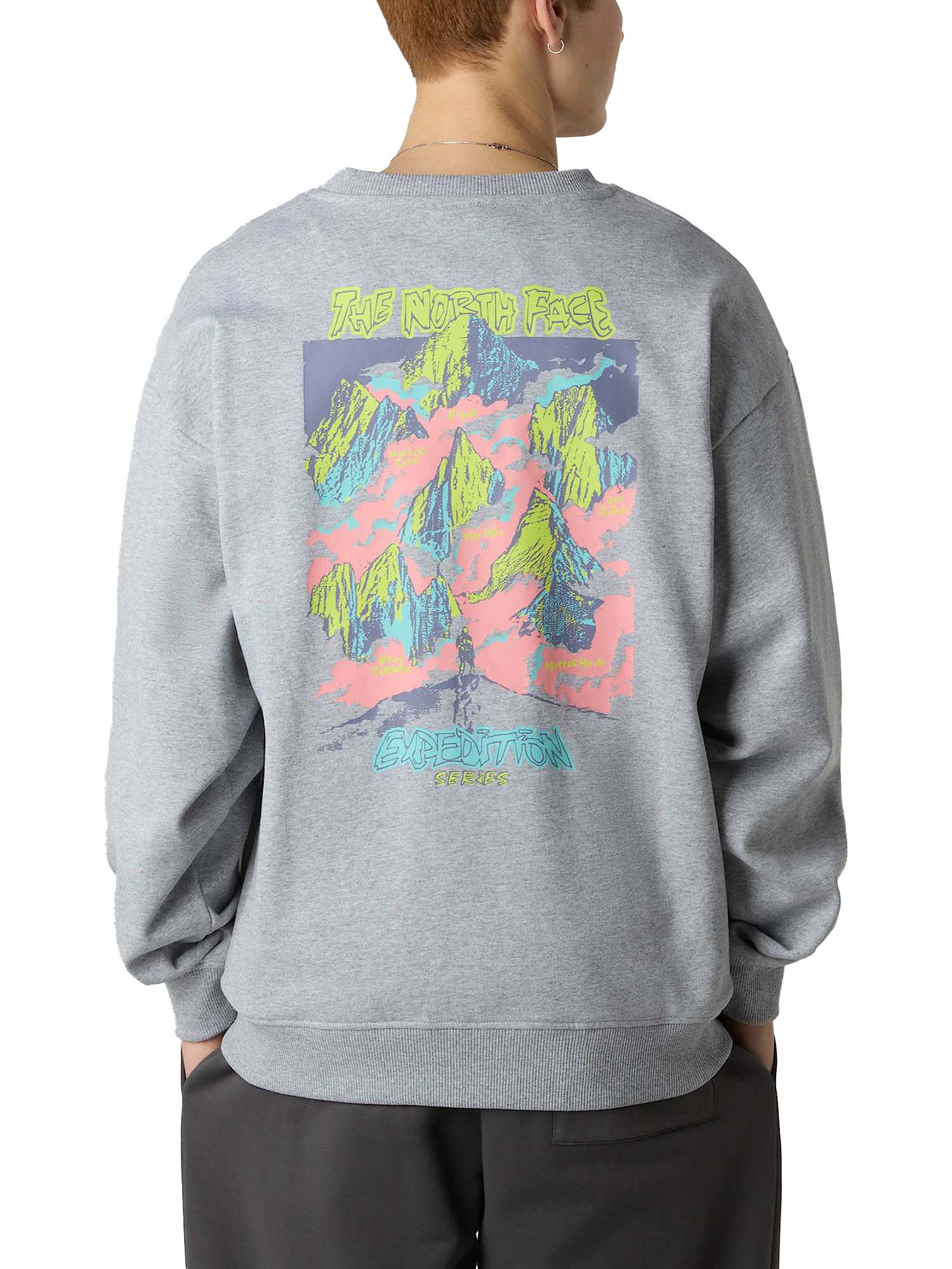 The North Face Felpa oversize Expedition Celebration unisex Grigio