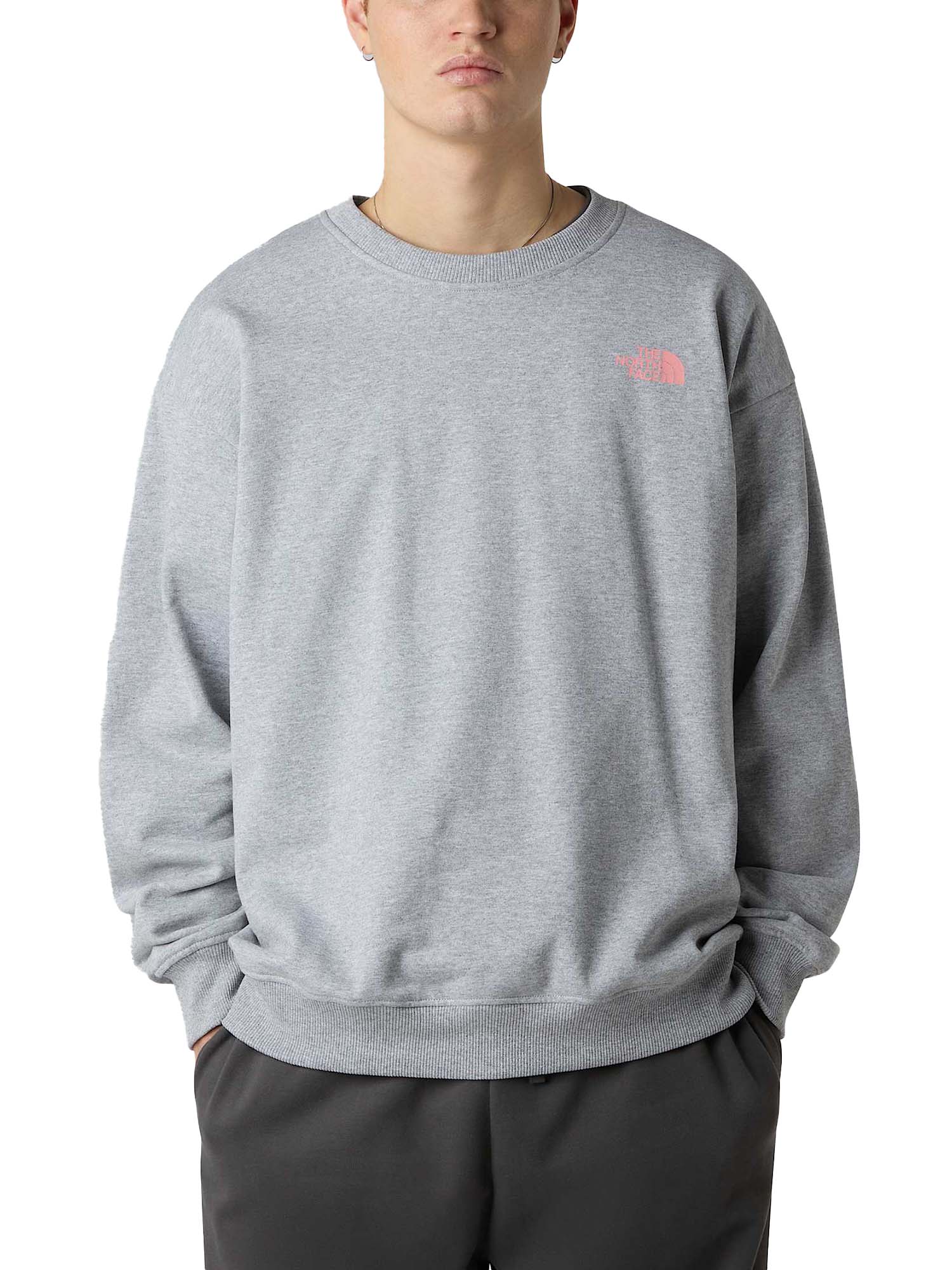 The North Face Felpa oversize Expedition Celebration unisex Grigio