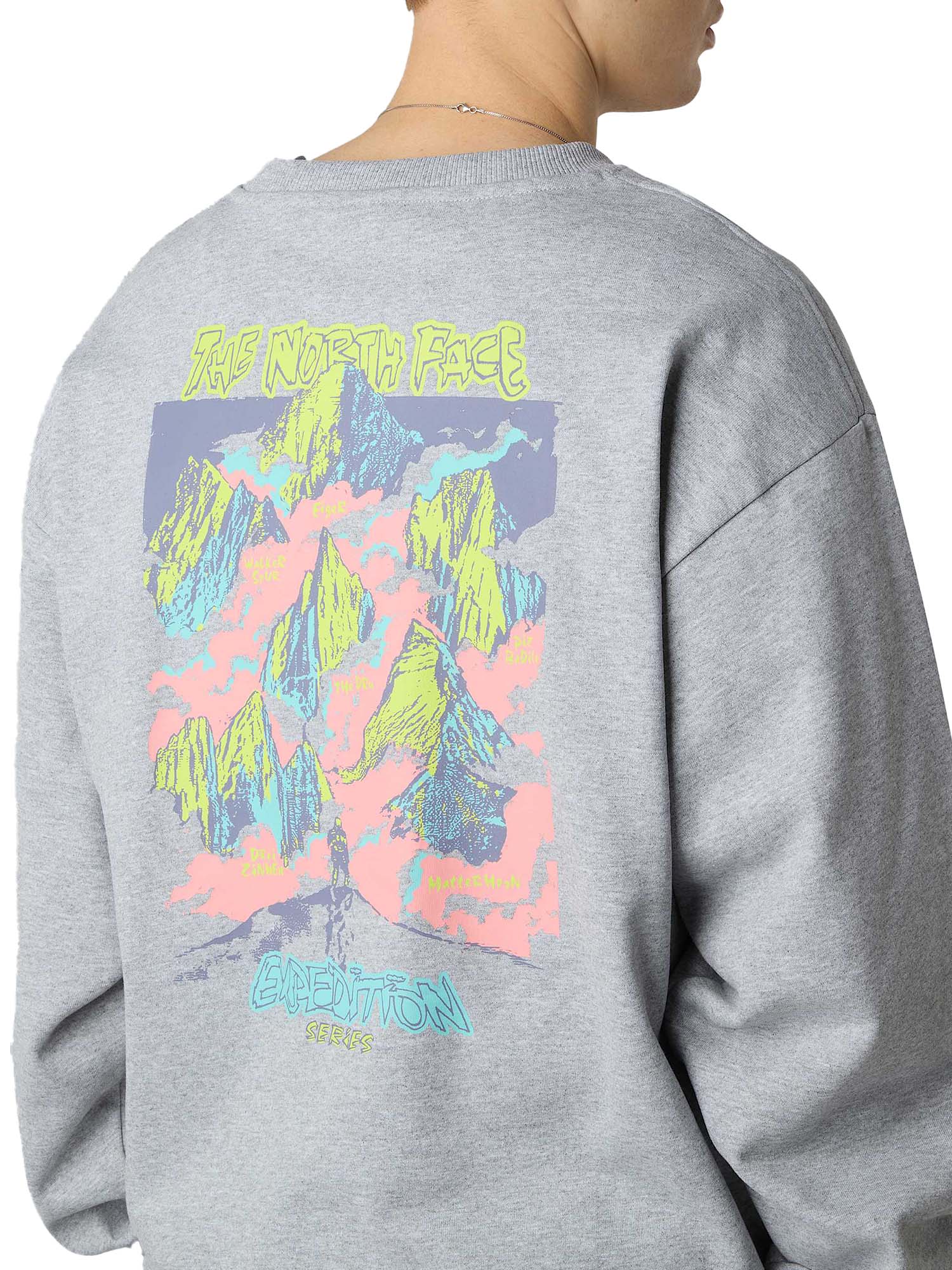 The North Face Felpa oversize Expedition Celebration unisex Grigio