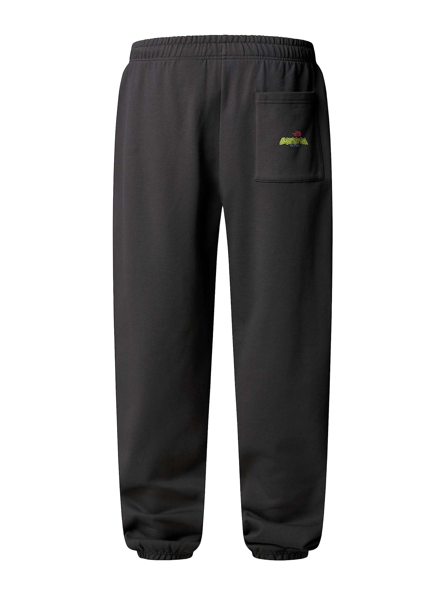 The North Face Joggers Expedition Celebration Relaxed unisex Grigio