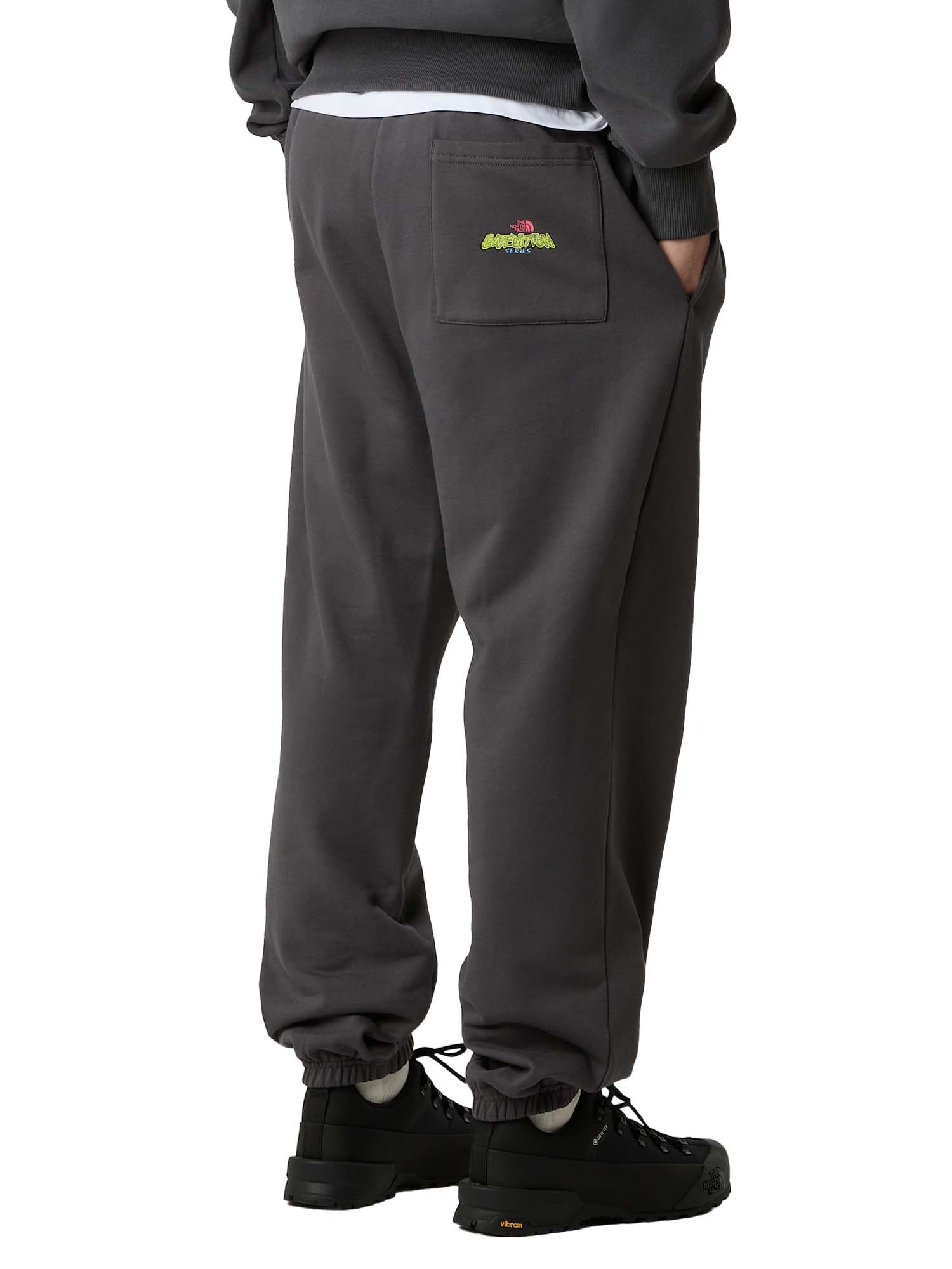 The North Face Joggers Expedition Celebration Relaxed unisex Grigio