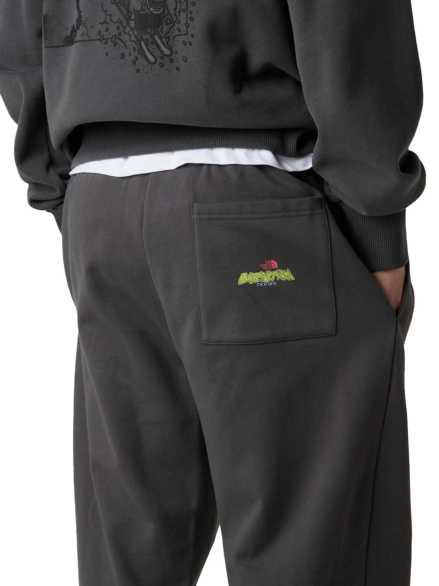 The North Face Joggers Expedition Celebration Relaxed unisex Grigio