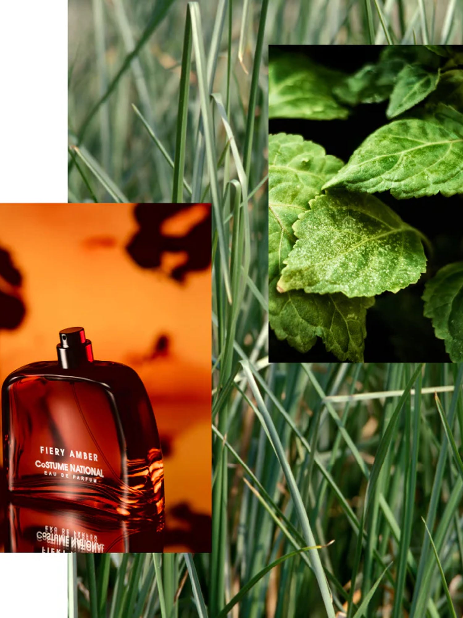 Costume National Fiery Amber 50ML Bianco