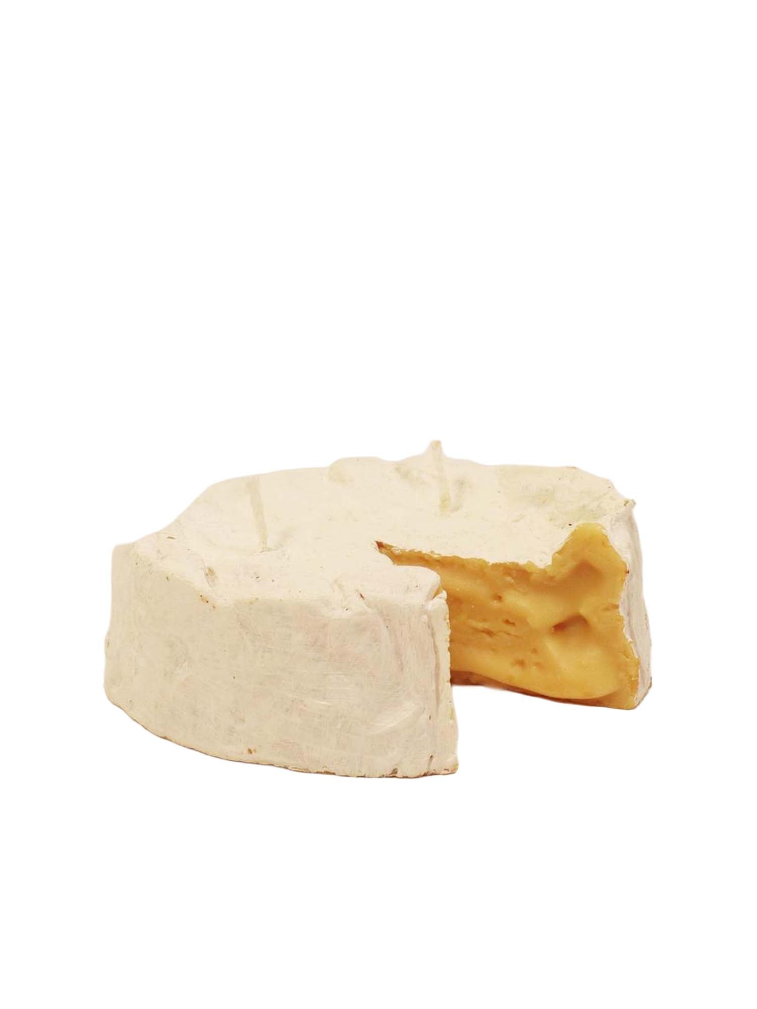 Pantler's Rations Candela Wheel of Brie Bianco