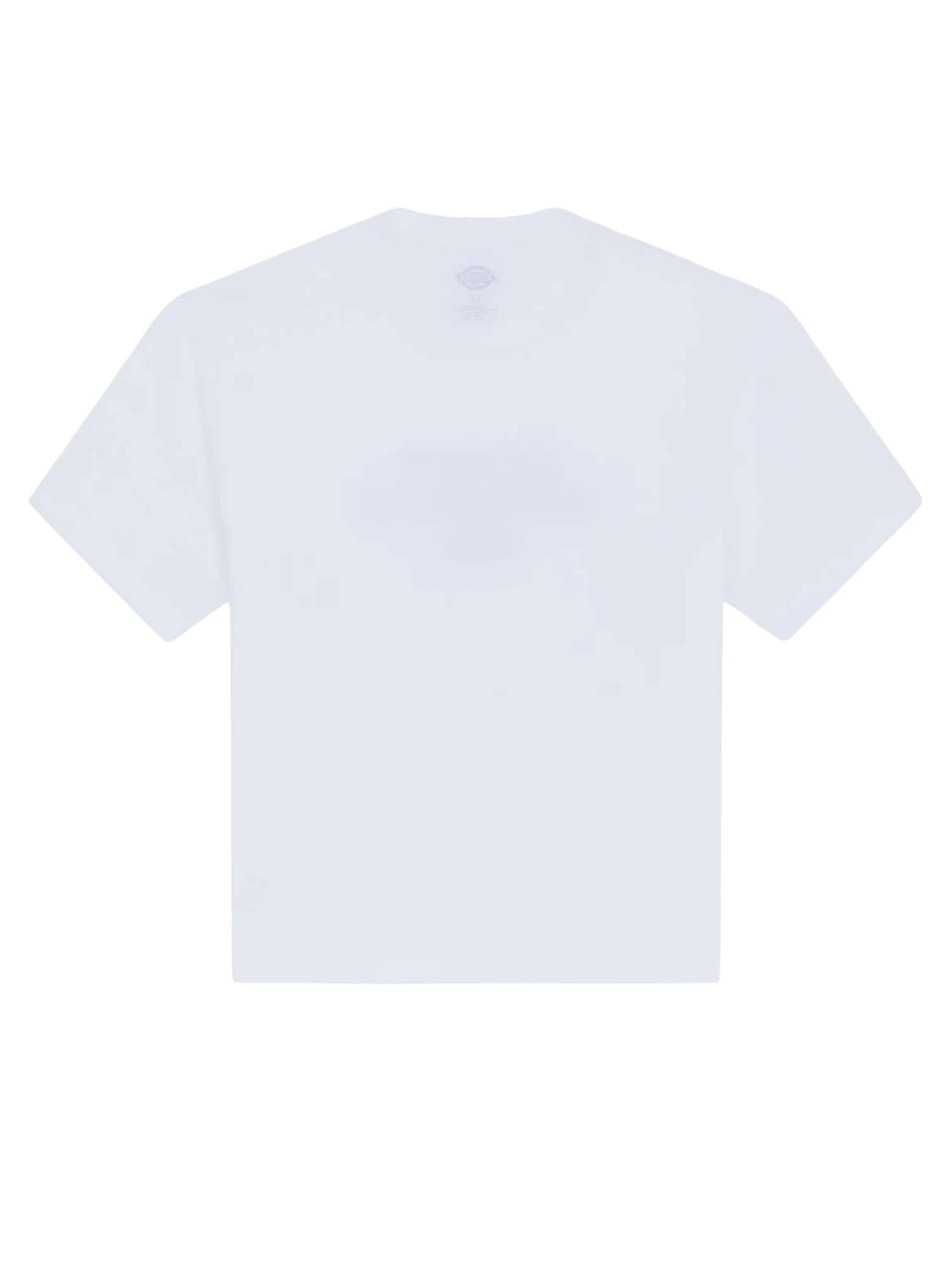 Dickies T-shirt leggera Torrey Bianco