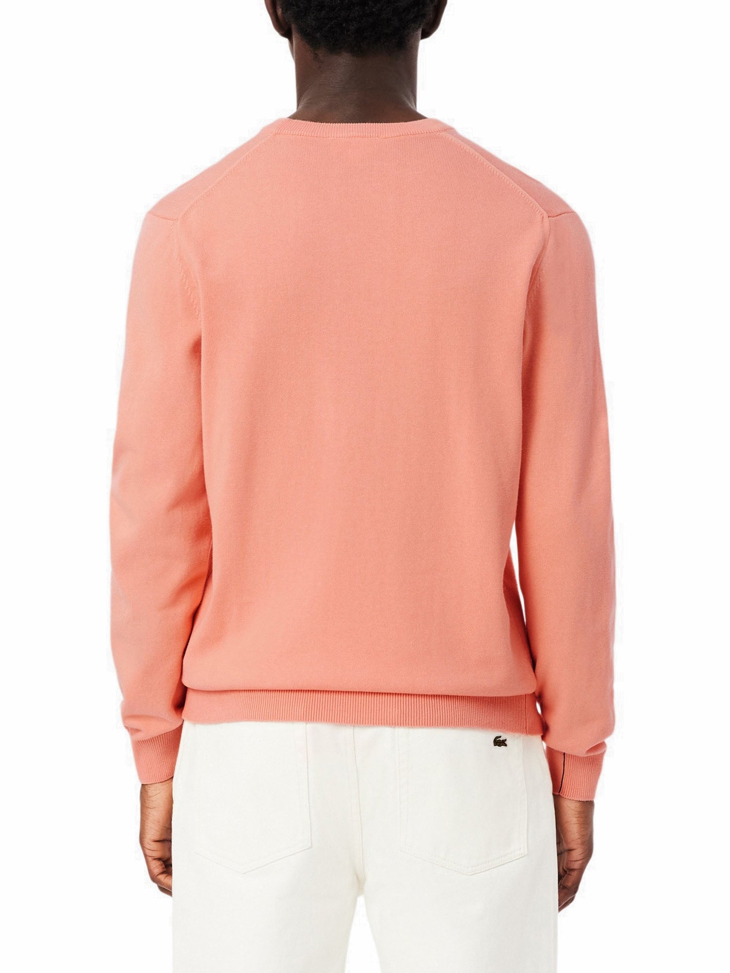 Lacoste Pullover girocollo monocromatico in cotone Rosa