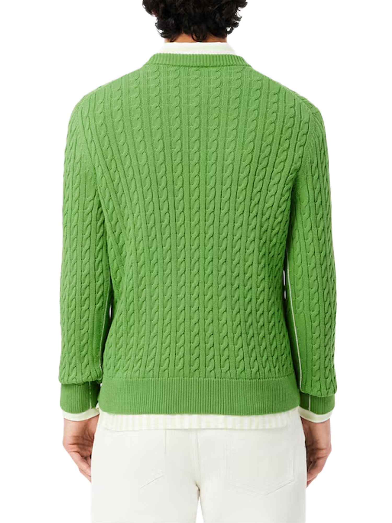Lacoste Pullover di cotone in maglia a trecce Verde