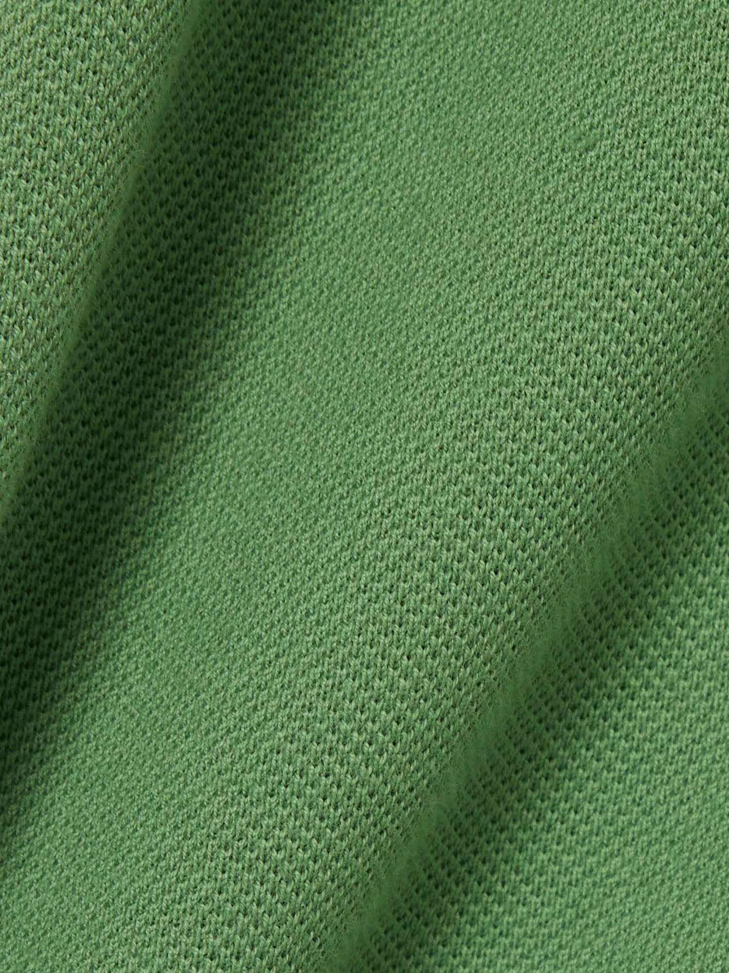 Lacoste Polo L.12.12 regular fit con bordo in risalto Verde