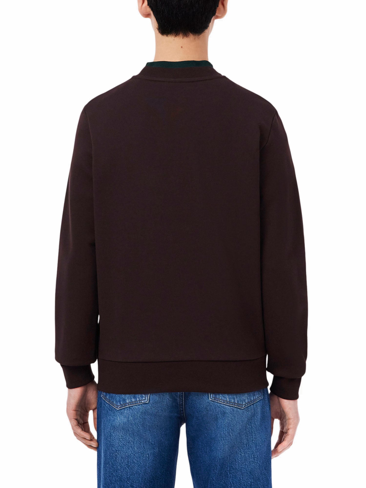 Lacoste Felpa in tessuto felpato classic fit Marrone