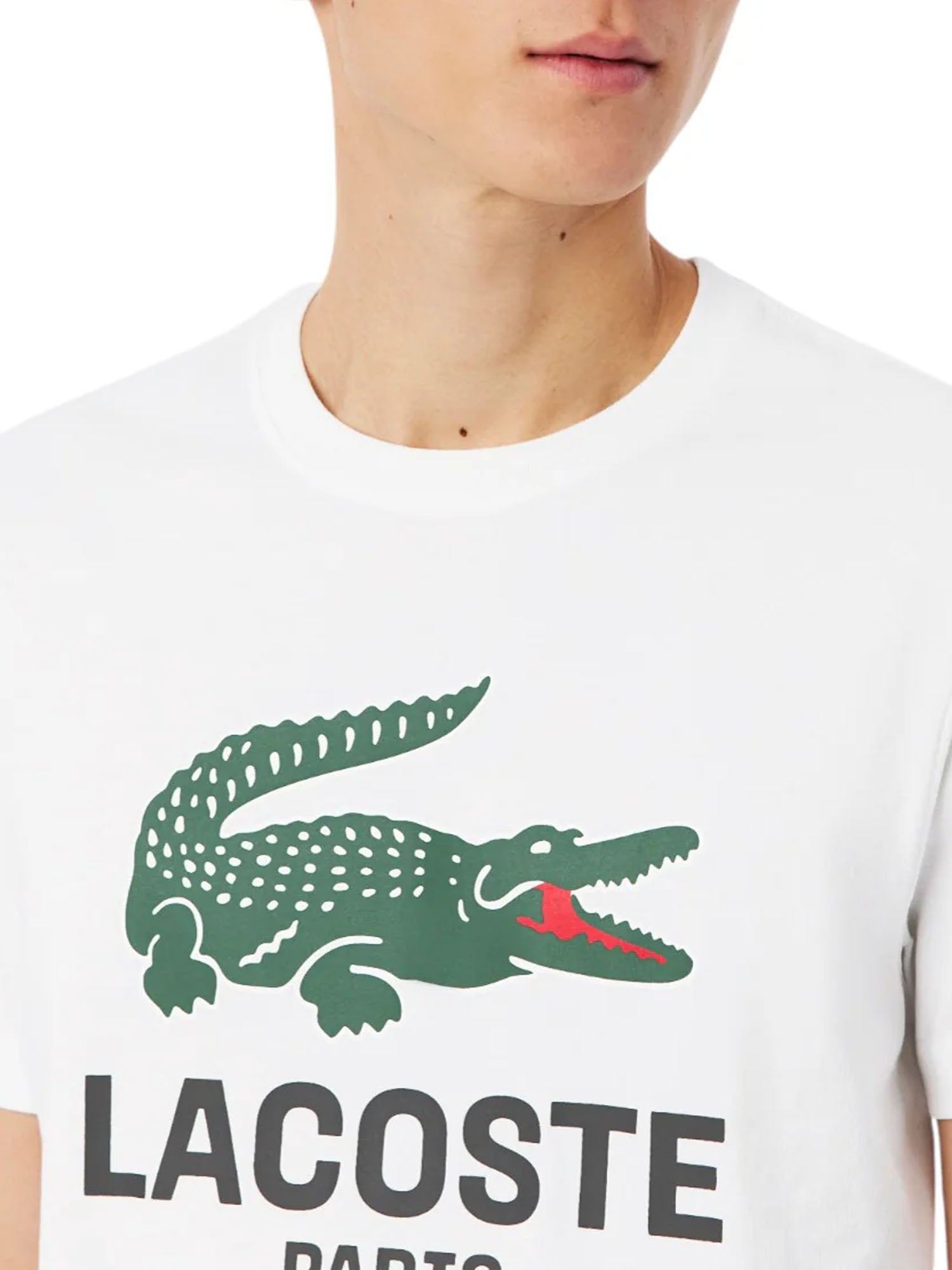 Lacoste T-shirt Cotone Uomo Bianco