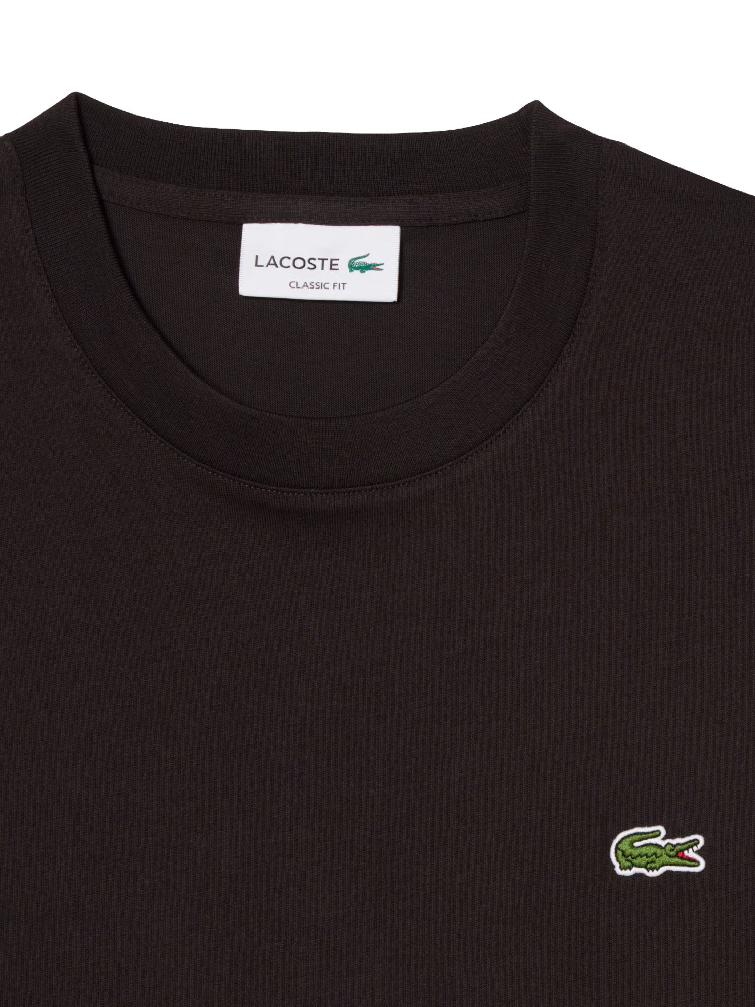Lacoste T-shirt in cotone Marrone