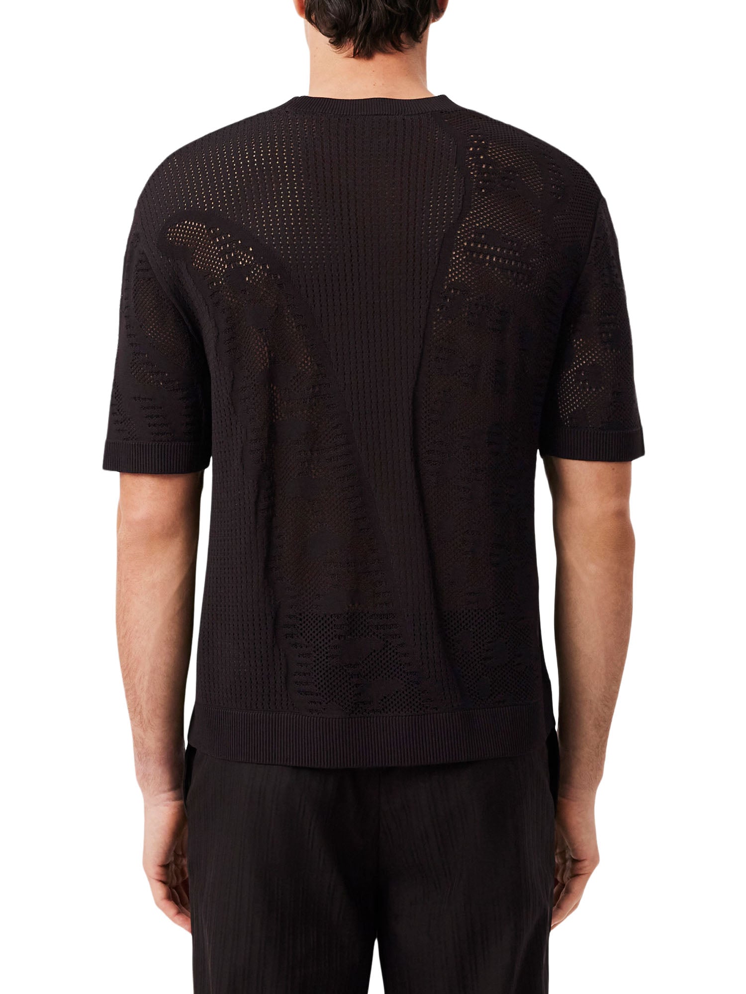 Lacoste Maglione stampato a maniche corte relaxed fit Marrone