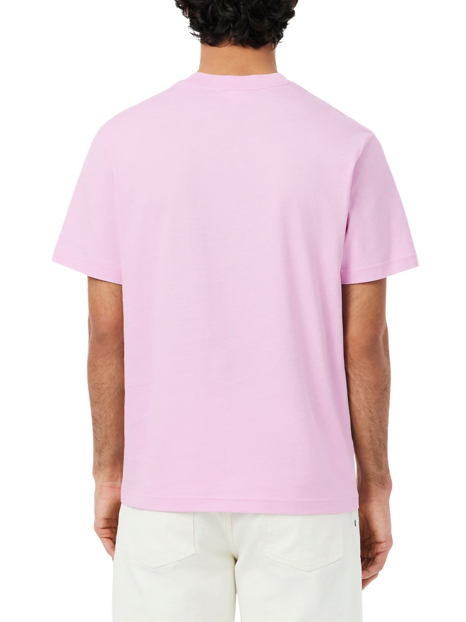 Lacoste T-shirt in cotone Rosa