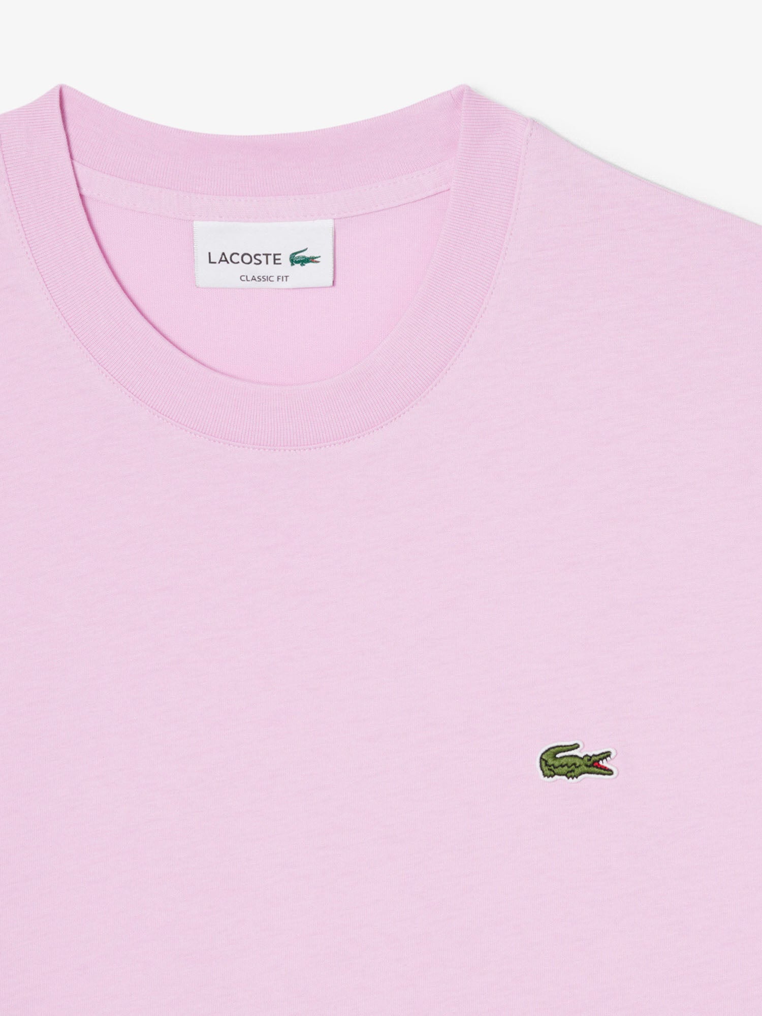 Lacoste T-shirt in cotone Rosa