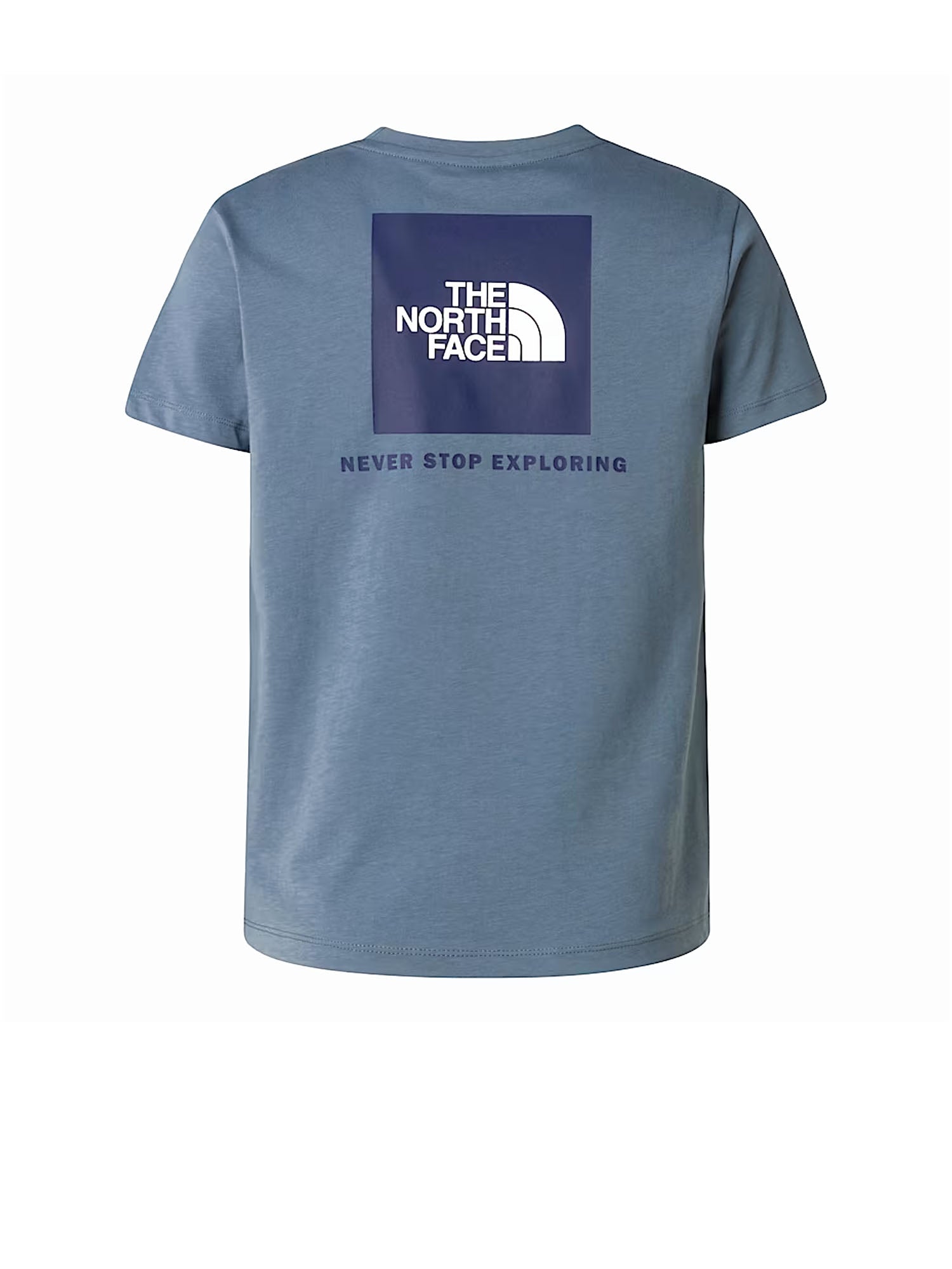 The North Face T-shirt Box NSE Bambino Grigio