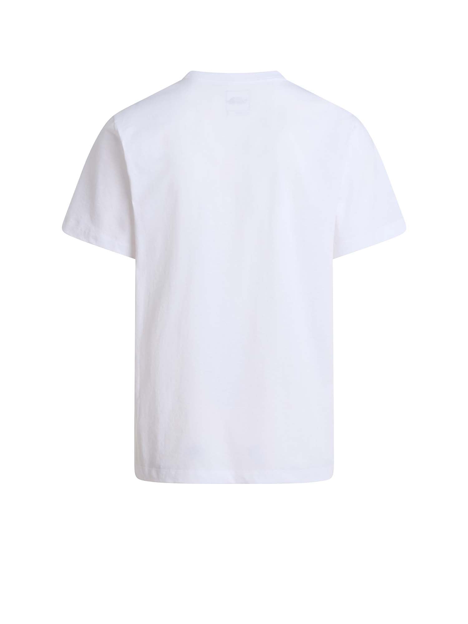 The North Face T-shirt Evolution Simple Dome Regular da uomo Bianco