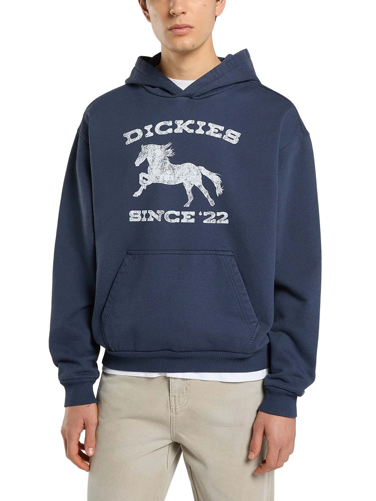 Dickies Felpa con cappuccio Owyhee Blu
