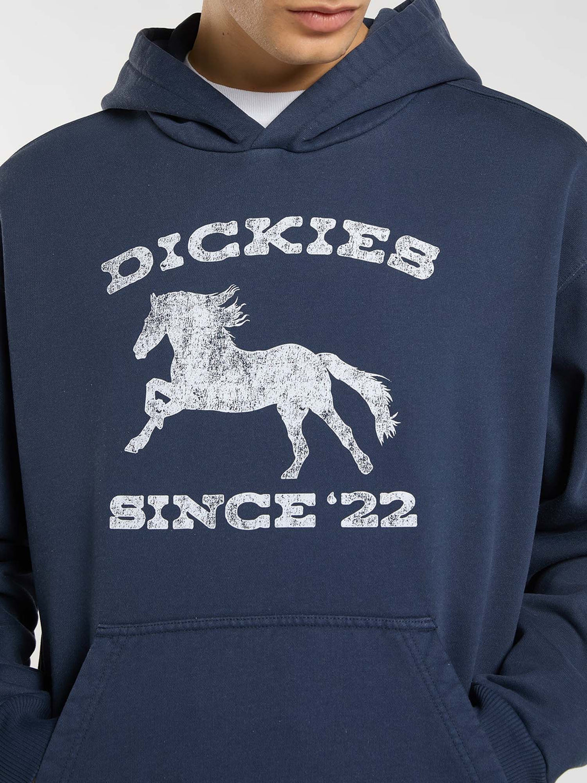 Dickies Felpa con cappuccio Owyhee Blu