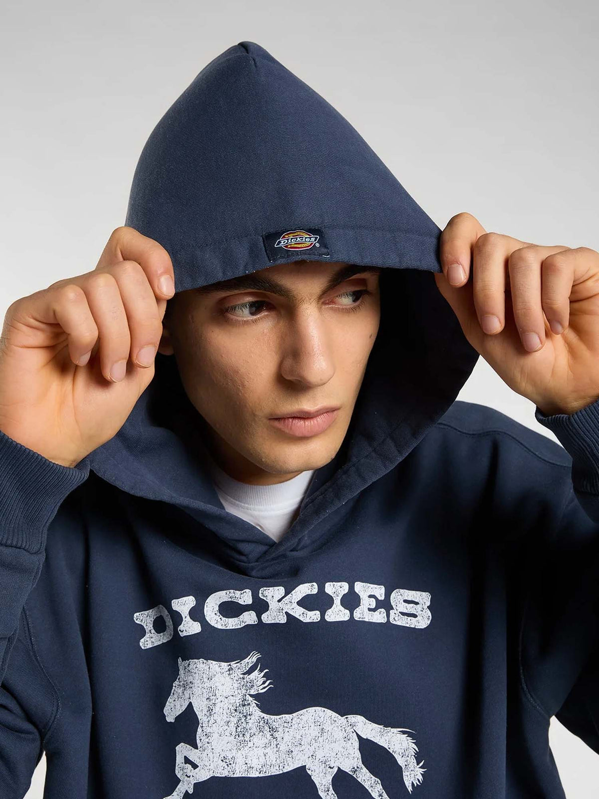 Dickies Felpa con cappuccio Owyhee Blu