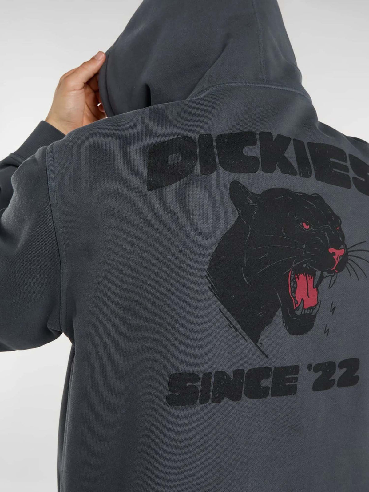 Dickies Felpa con cappuccio McDermitt Grigio