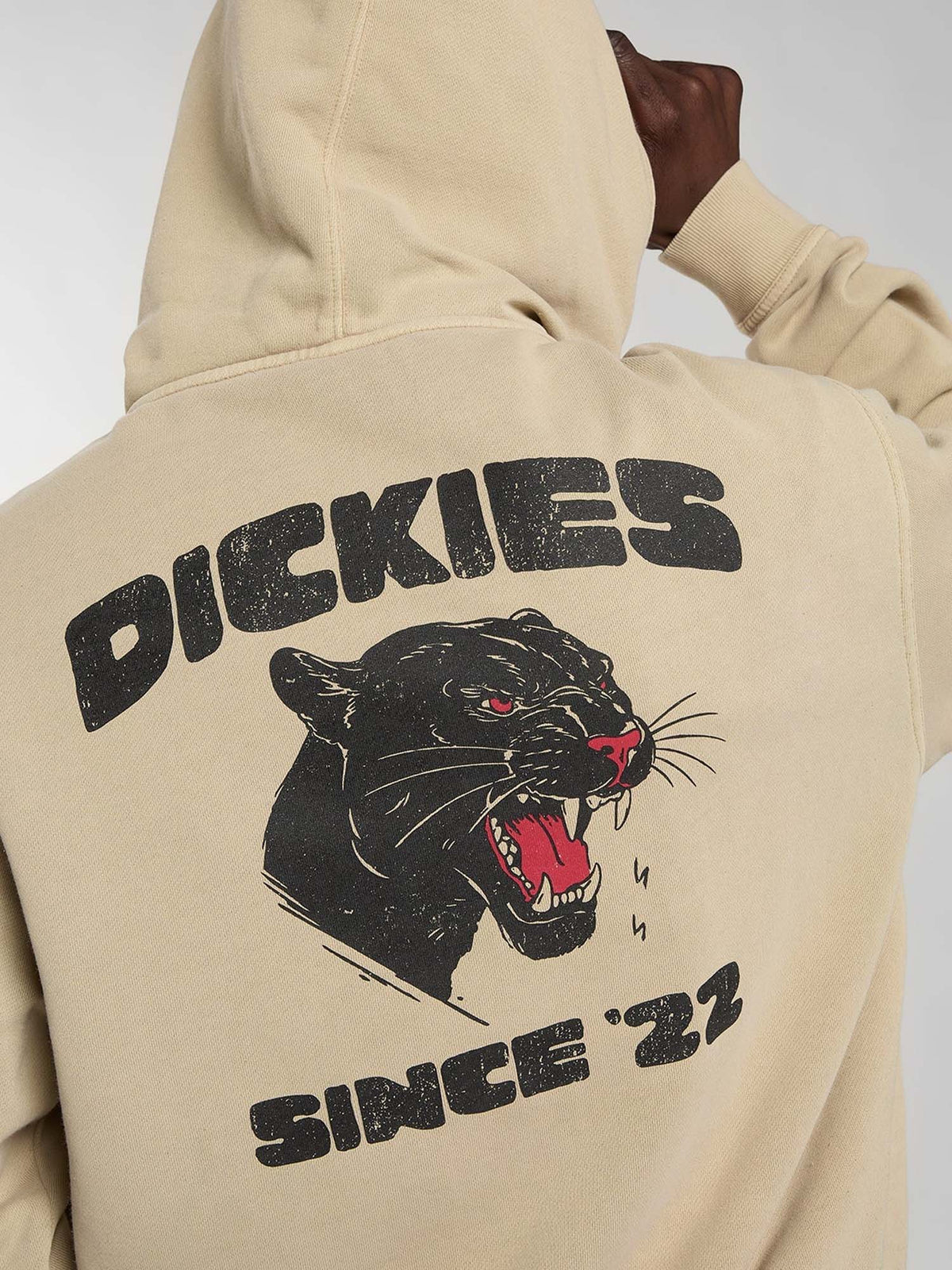 Dickies Felpa con cappuccio McDermitt Beige