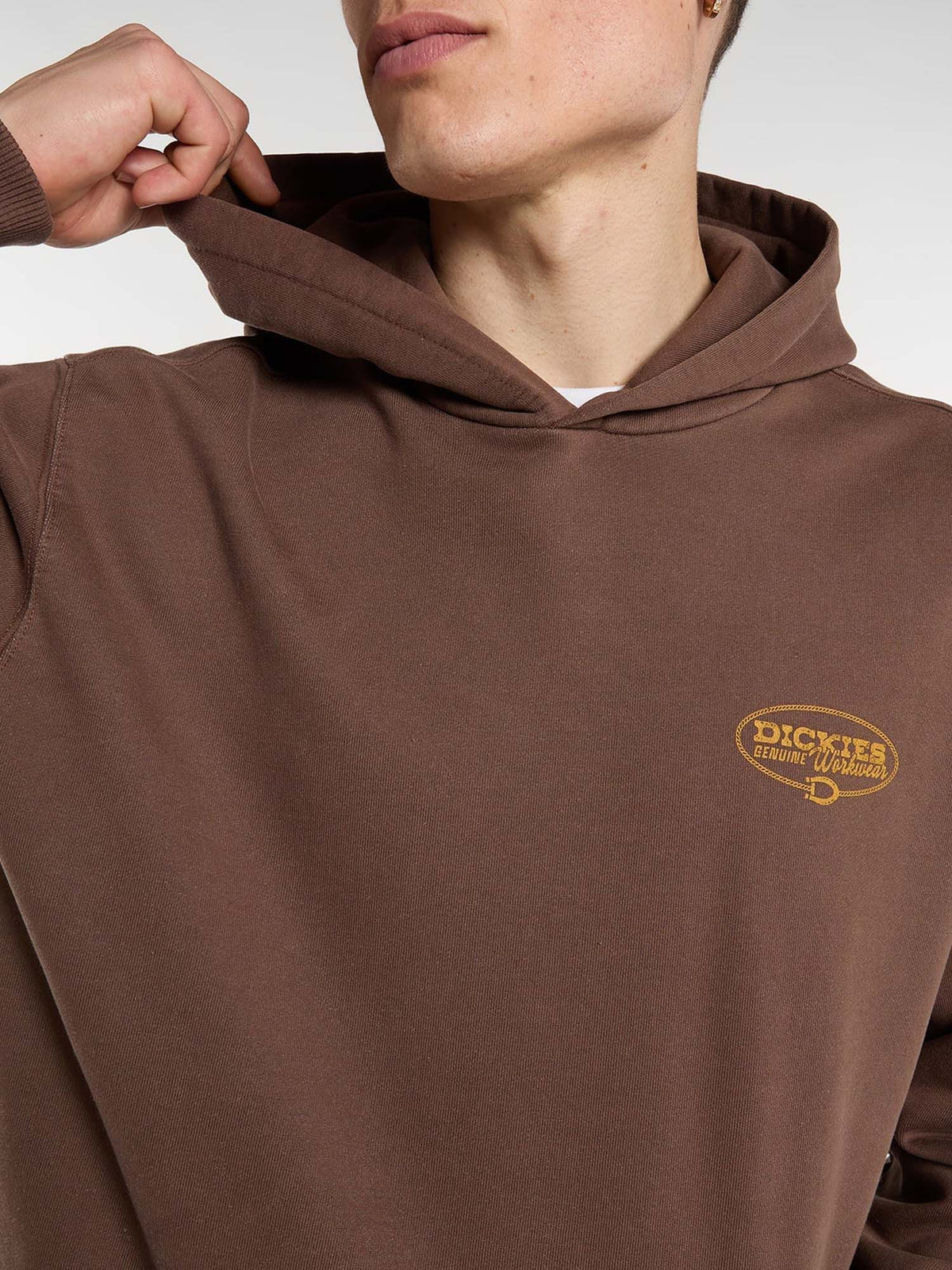 Dickies Felpa con cappuccio Avondale Marrone