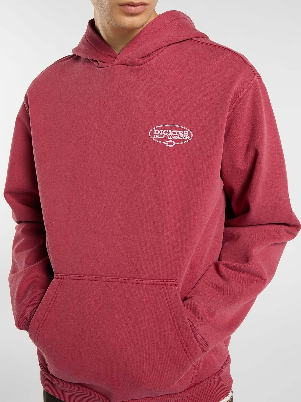 Dickies Felpa con cappuccio Avondale Rosso