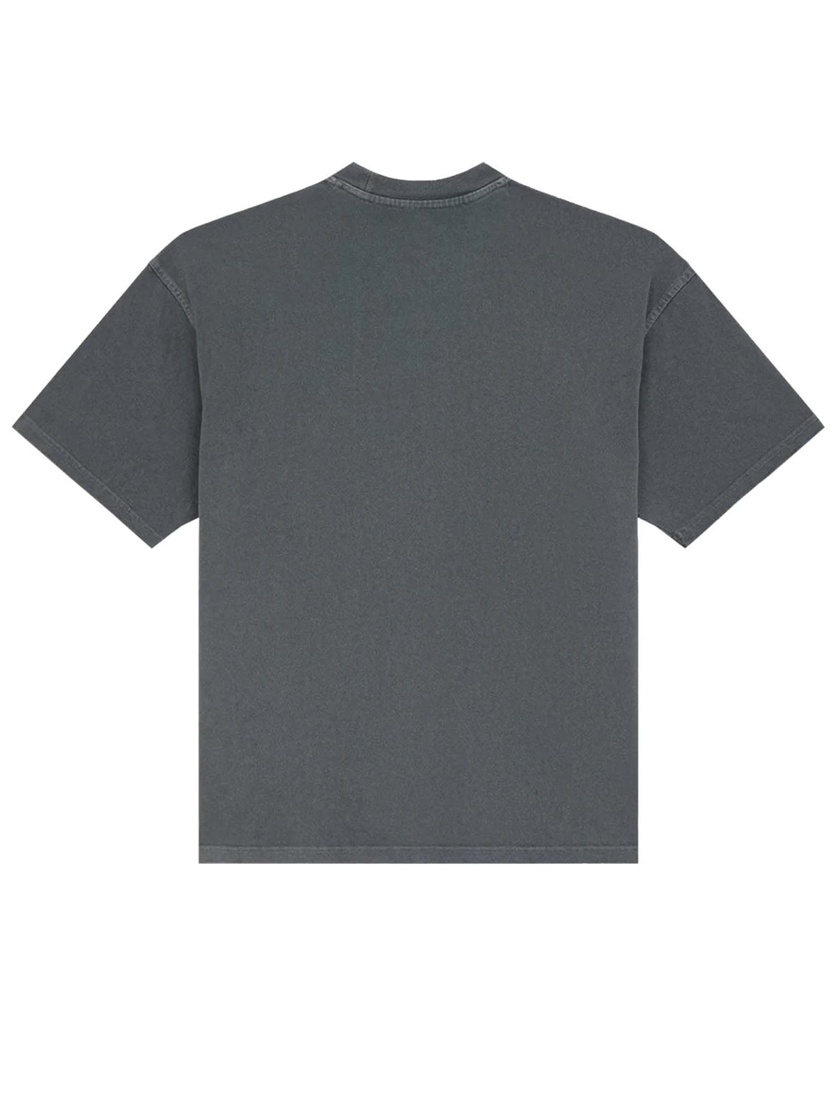 Dickies T-shirt di peso medio Titusville Grigio