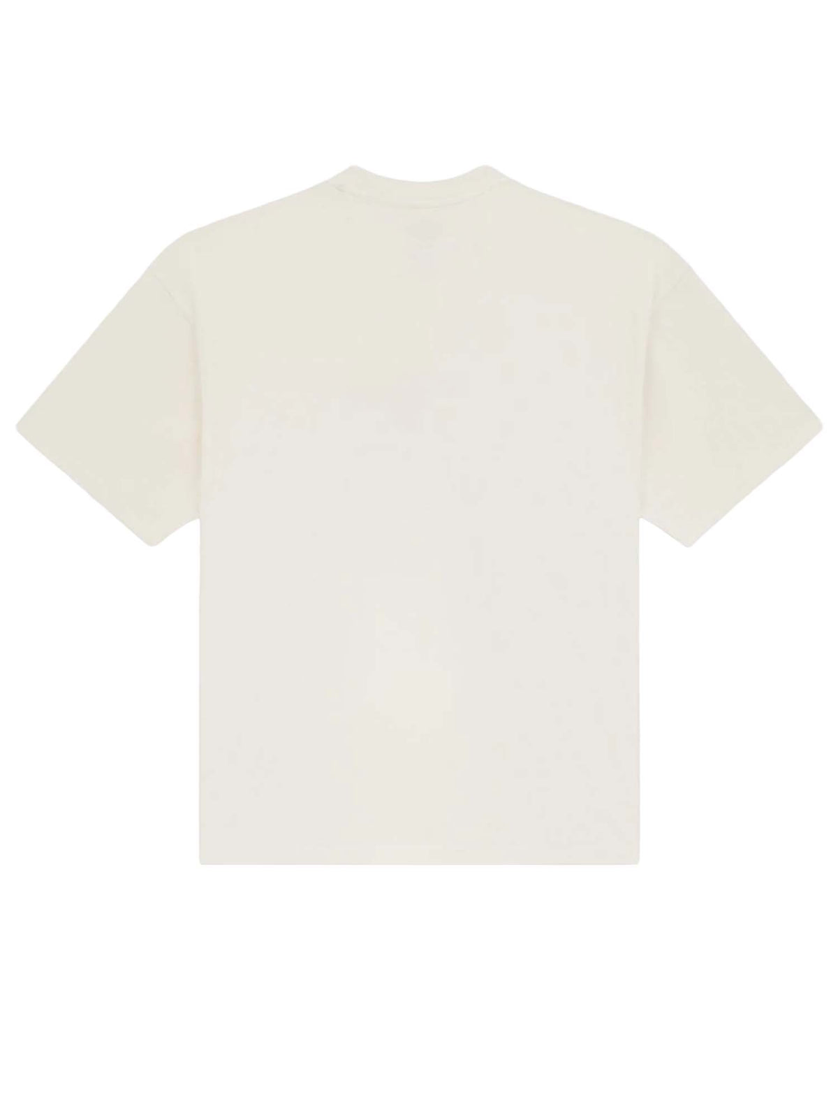 Dickies T-shirt di peso medio Titusville Bianco
