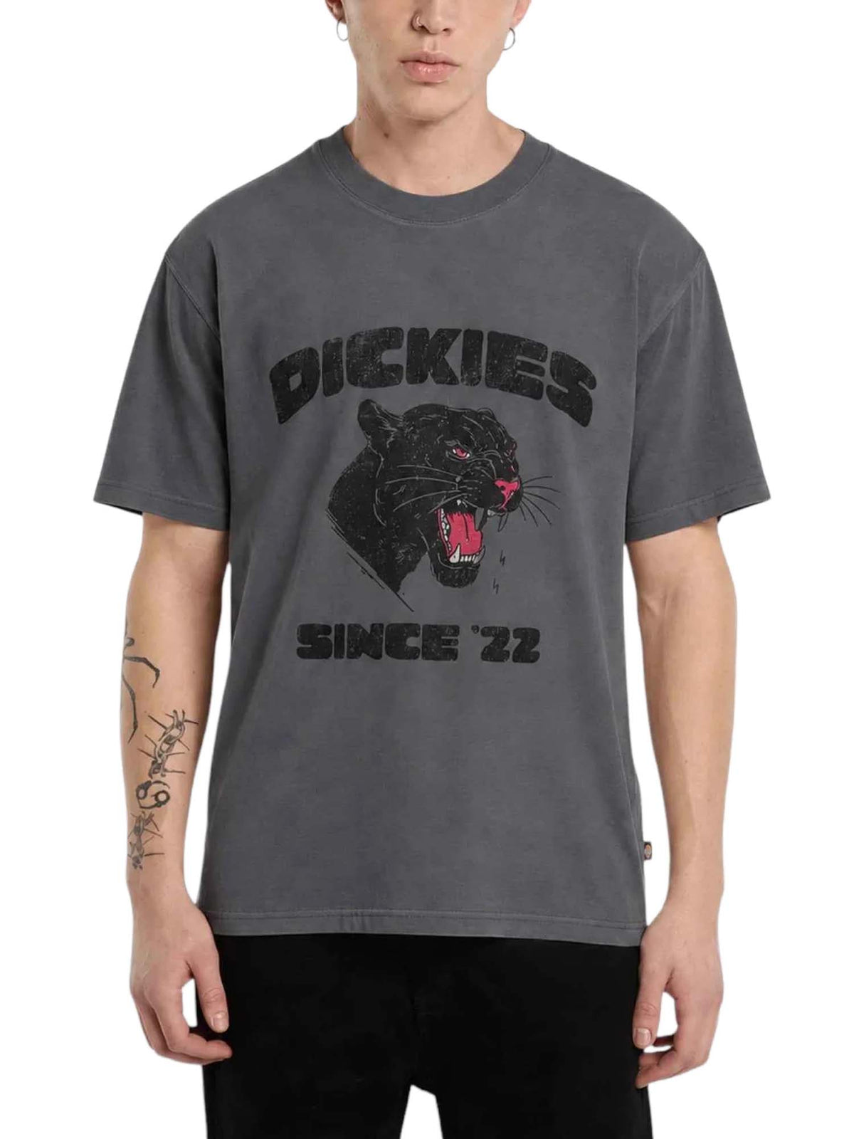 Dickies T-shirt di peso medio McDermitt Grigio