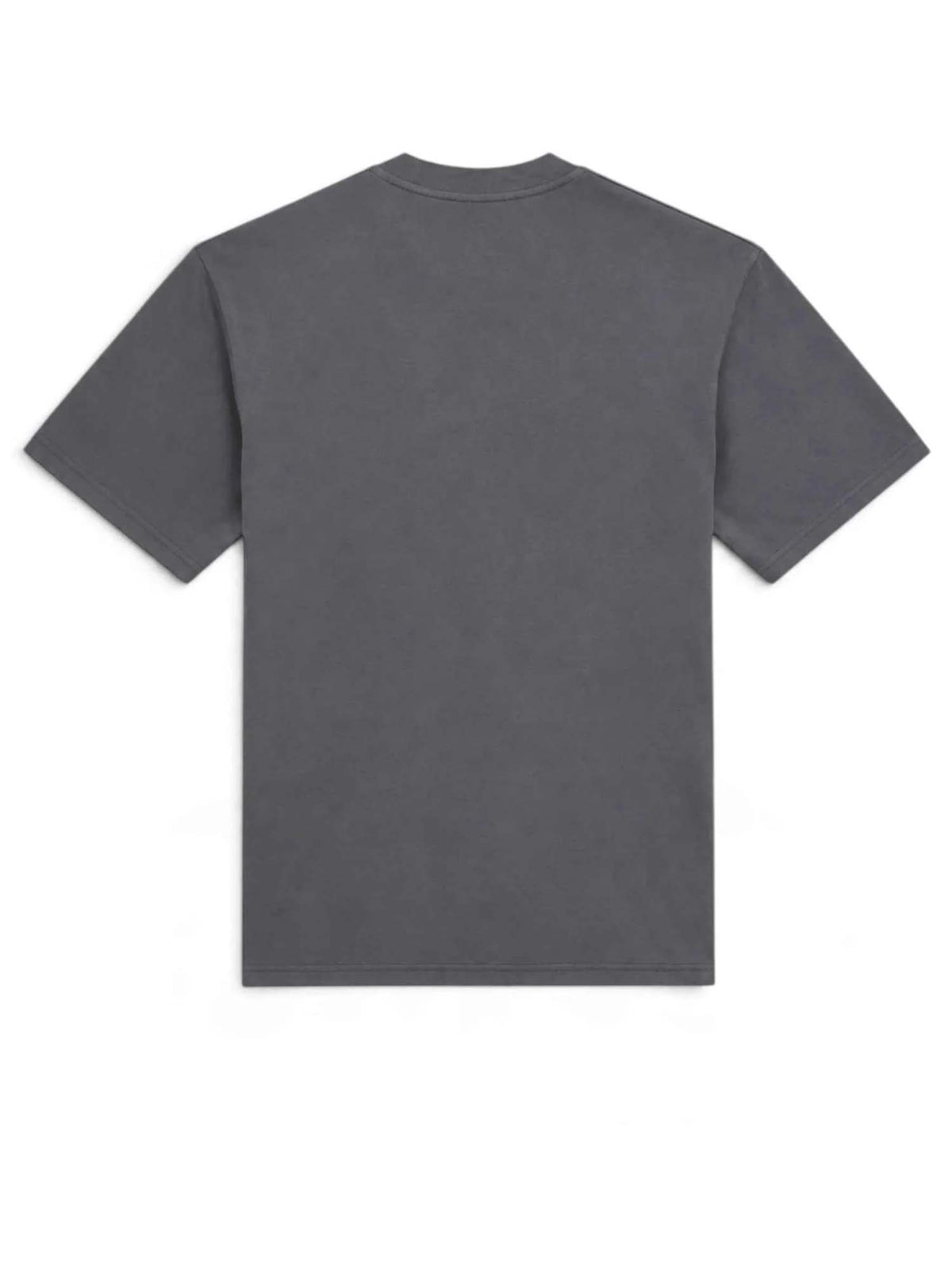 Dickies T-shirt di peso medio McDermitt Grigio