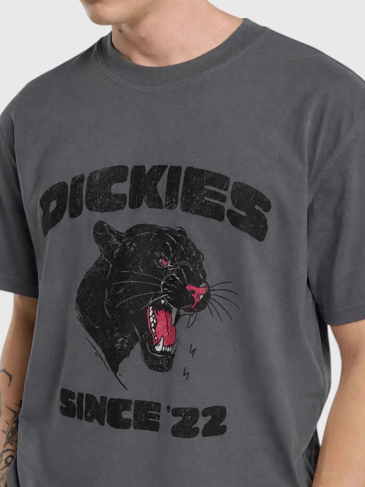 Dickies T-shirt di peso medio McDermitt Grigio