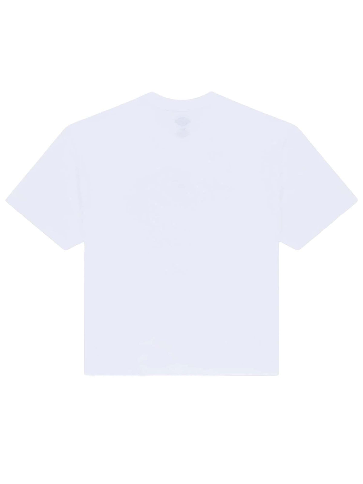 Dickies T-shirt di peso medio Apalachicolsa Bianco