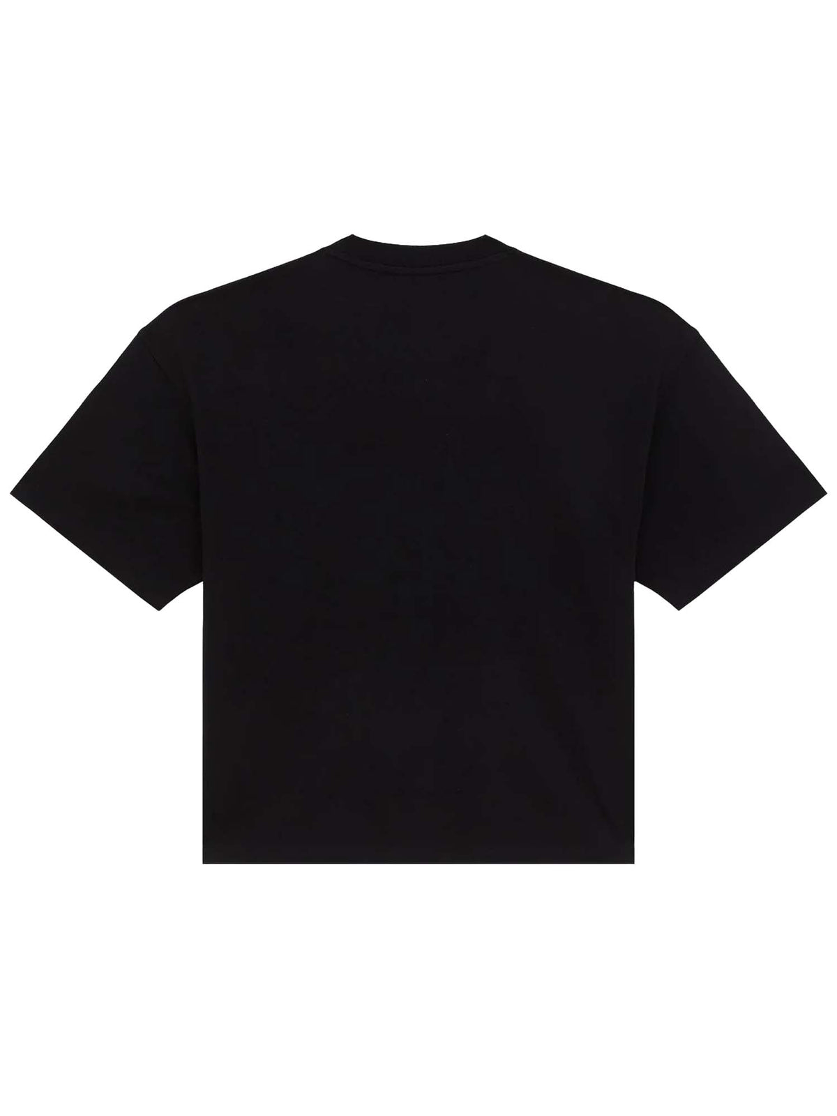 Dickies T-shirt di peso medio Apalachicolsa Nero