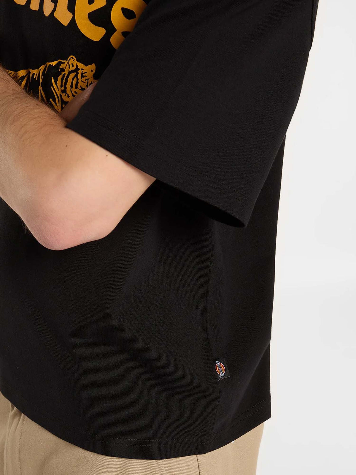 Dickies T-shirt di peso medio Apalachicolsa Nero