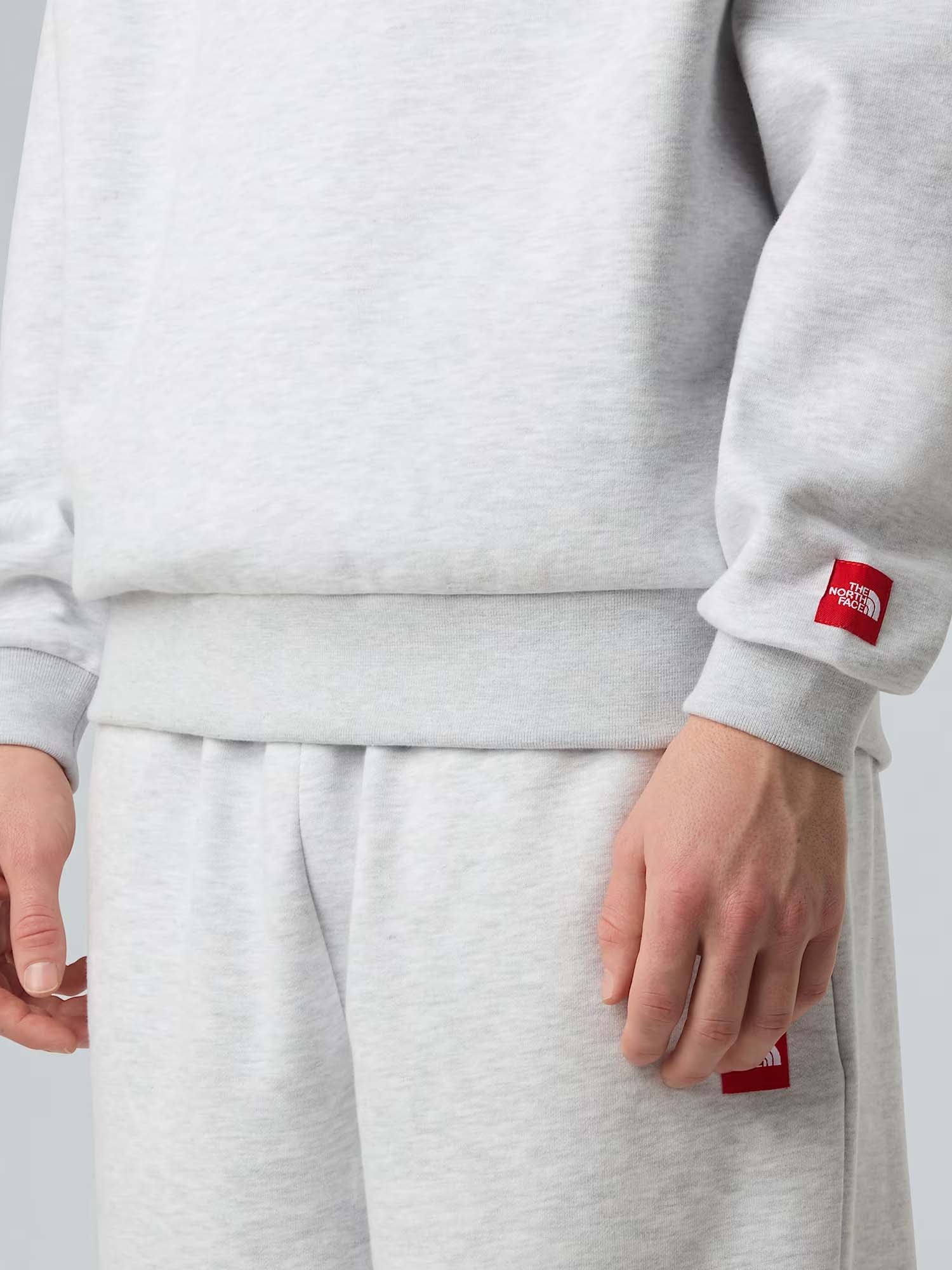 The North Face Felpa con cappuccio Red Box unisex Grigio