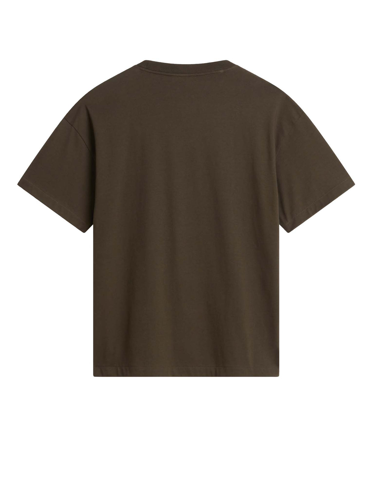 The North Face T-shirt Red Box unisex Verde